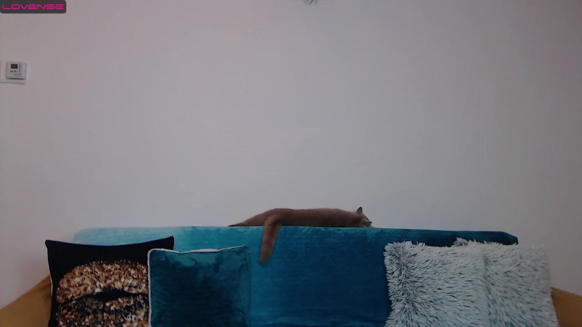 Gallery image thumbnail from Sara_Daisy's myfreecams stream on, 01/15/2023, 20:02 image 13 of 20