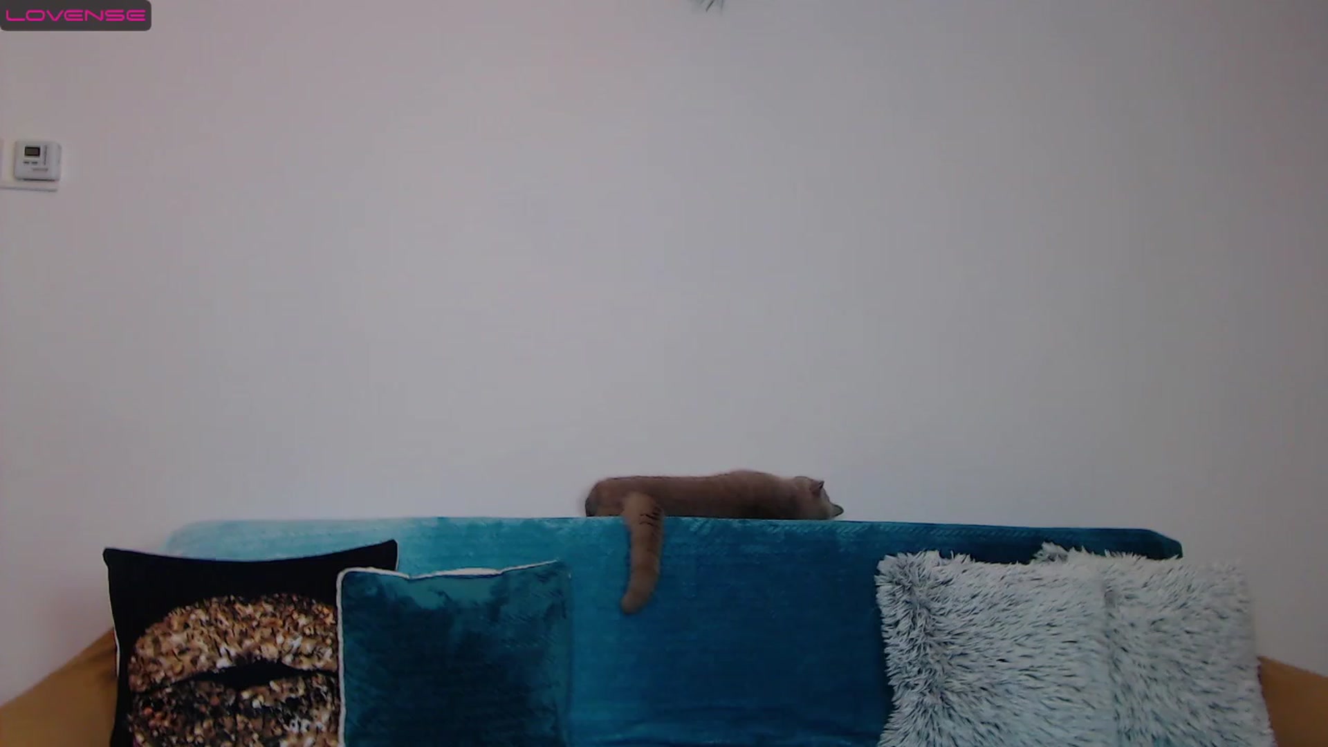 Gallery image thumbnail from Sara_Daisy's myfreecams stream on, 01/15/2023, 20:02 image 12 of 20