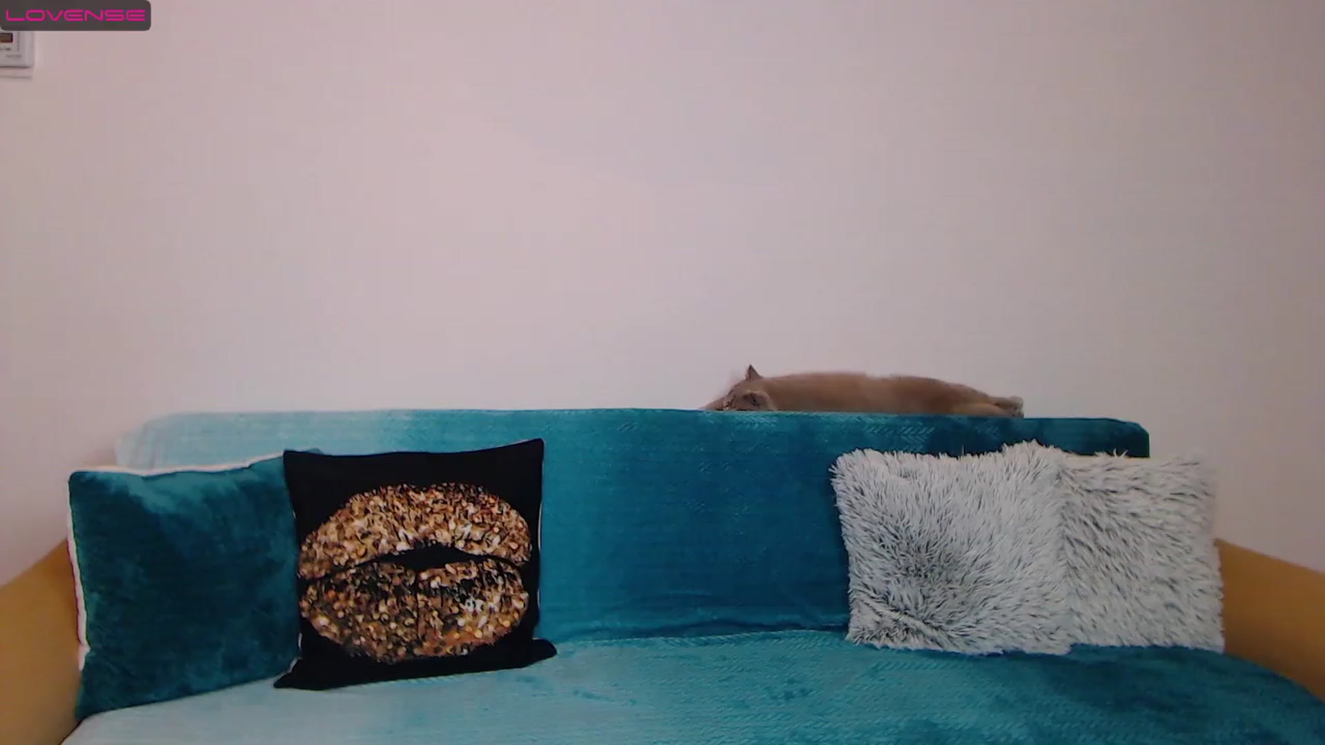 Gallery image thumbnail from Sara_Daisy's myfreecams stream on, 01/17/2023, 20:12 image 14 of 20