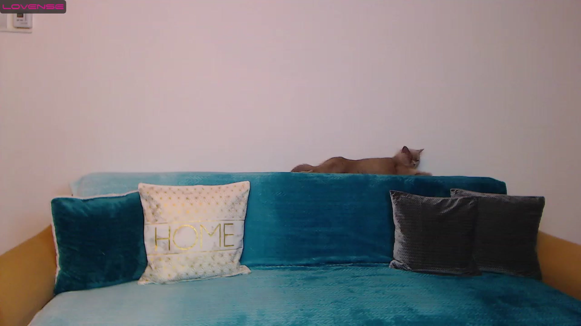 Gallery image thumbnail from Sara_Daisy's myfreecams stream on, 01/27/2023, 18:40 image 14 of 20