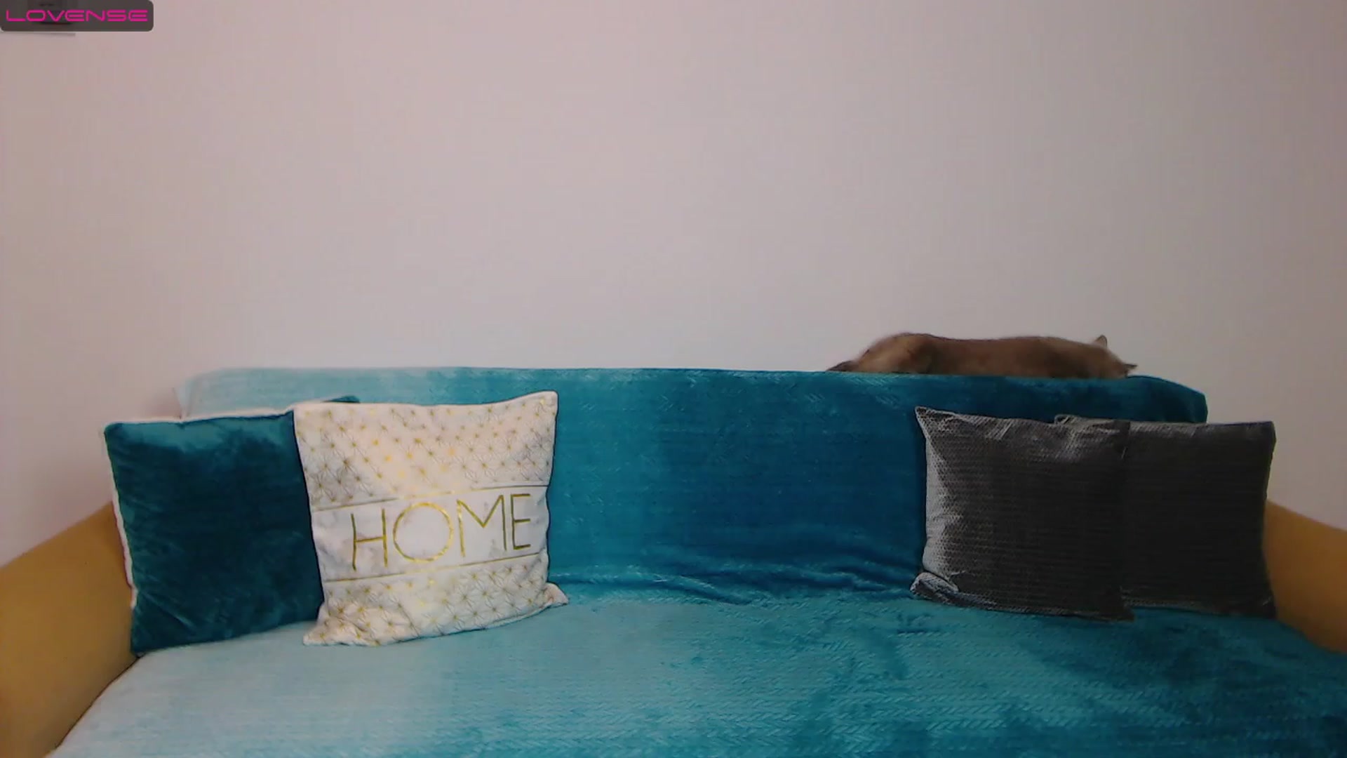 Gallery image thumbnail from Sara_Daisy's myfreecams stream on, 01/30/2023, 20:54 image 7 of 20