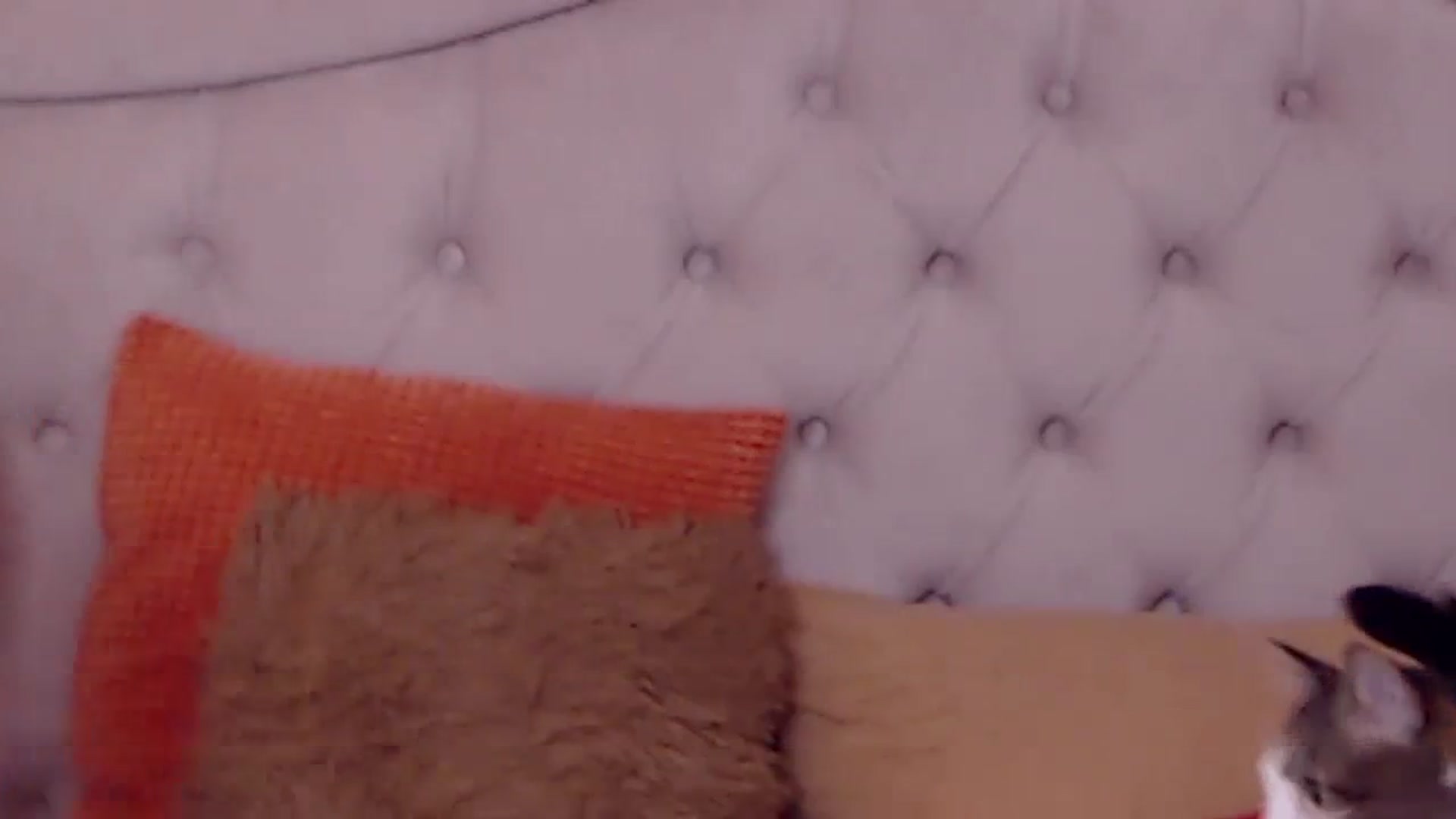 Gallery image thumbnail from Sara_Joy's myfreecams stream on, 11/08/2023, 24:25 image 2 of 20