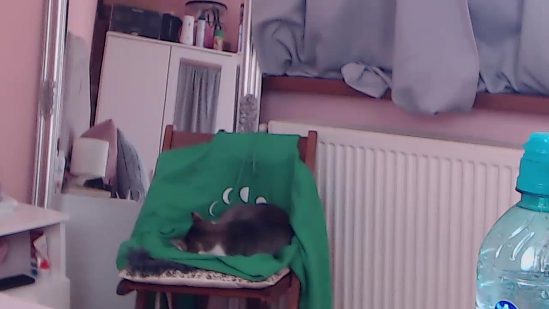Gallery image thumbnail from Sara_Joy's myfreecams stream on, 12/02/2023, 24:51 image 14 of 20