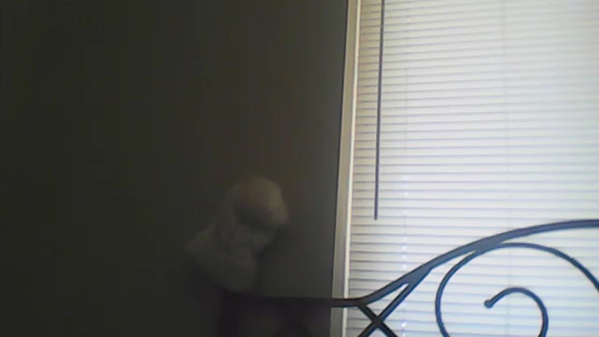 Gallery image thumbnail from Sarafoxxxy's myfreecams stream on, 11/21/2022, 18:23 image 20 of 20