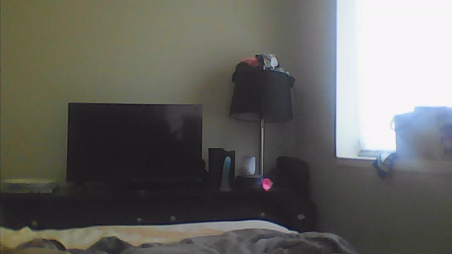 Gallery image thumbnail from Sarafoxxxy's myfreecams stream on, 11/21/2022, 18:23 image 12 of 20