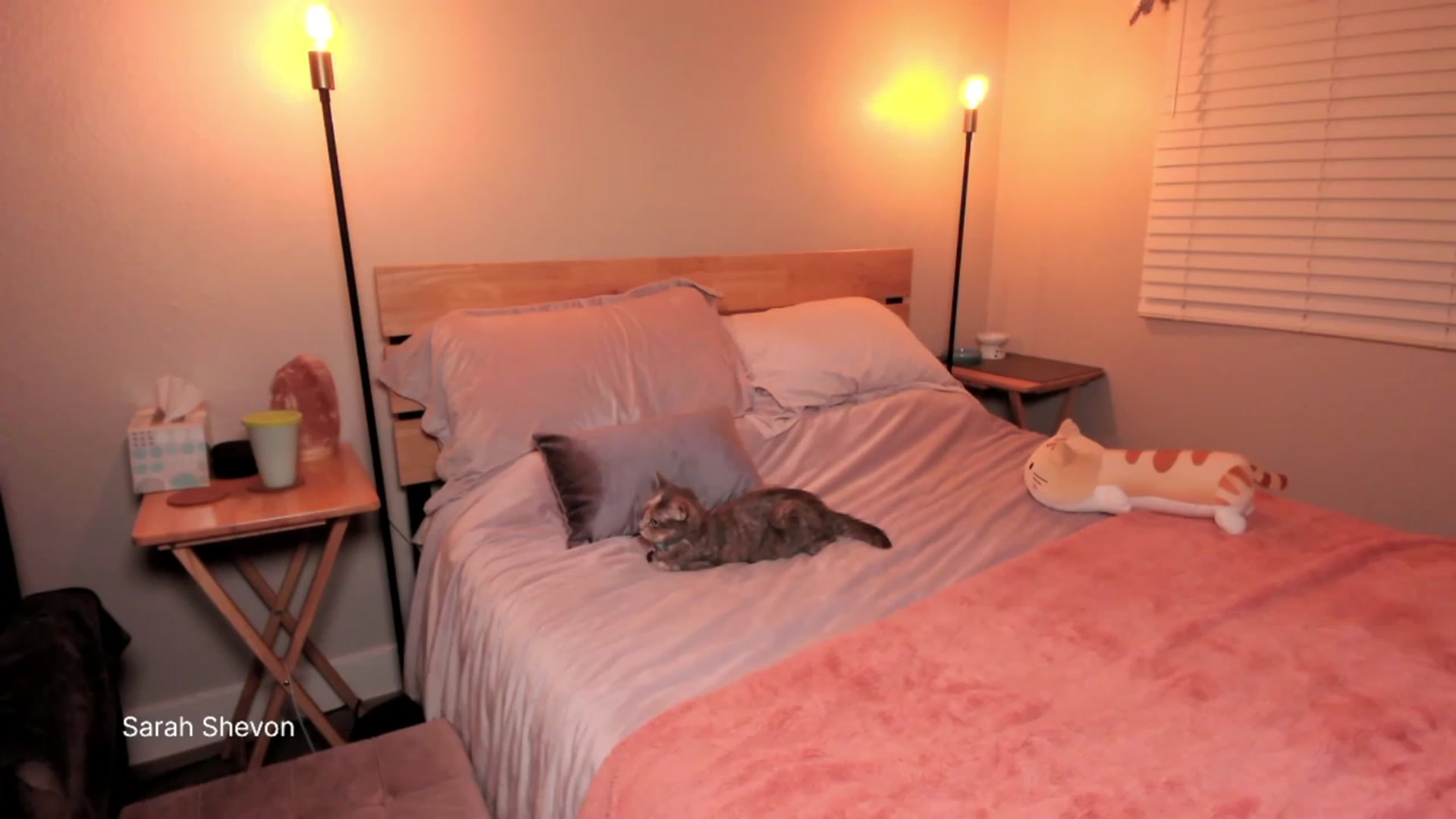 Gallery image thumbnail from SarahShevon's myfreecams stream on, 07/05/2023, 09:39 image 18 of 20