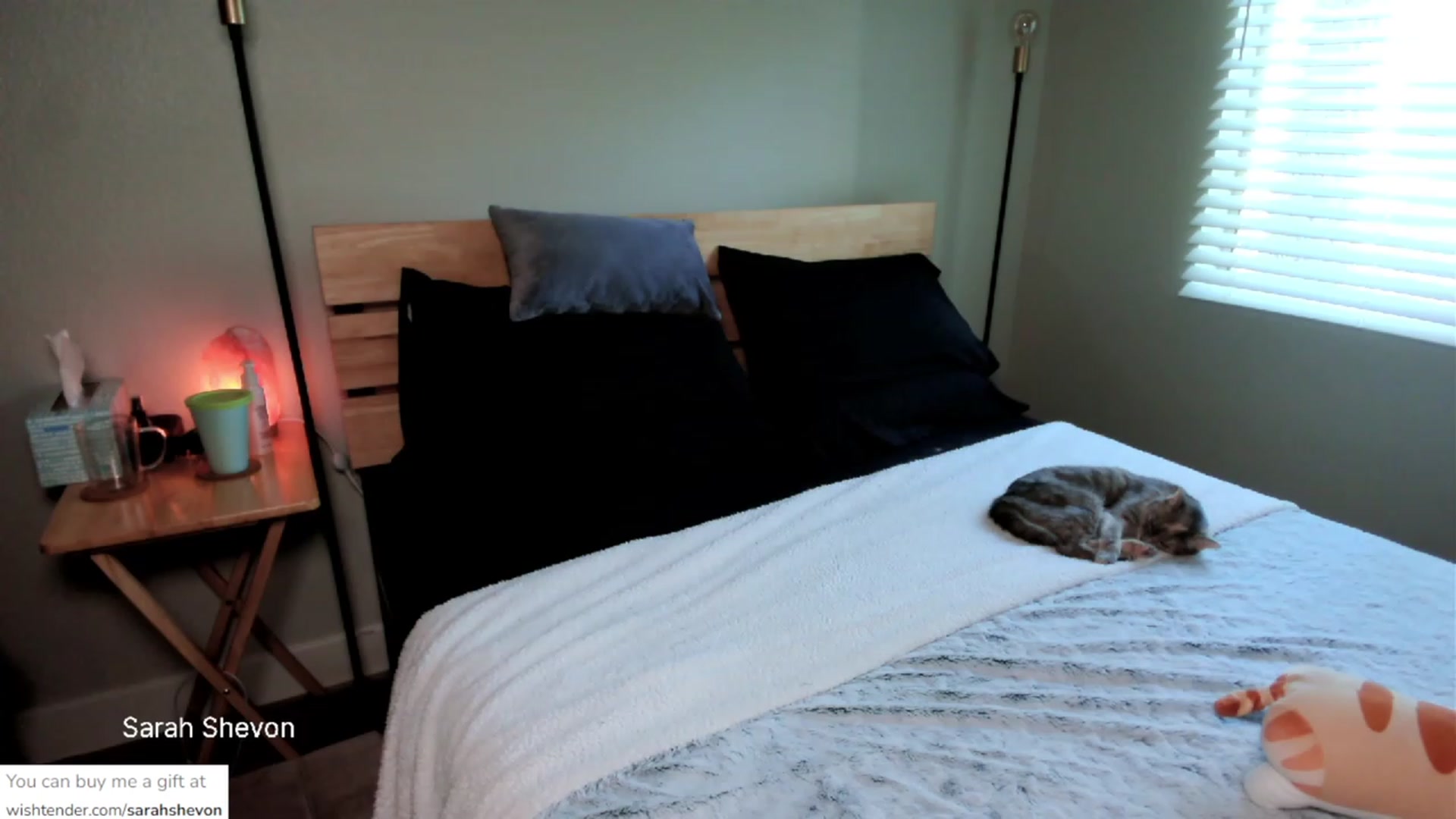 Gallery image thumbnail from SarahShevon's myfreecams stream on, 08/24/2023, 20:19 image 18 of 20