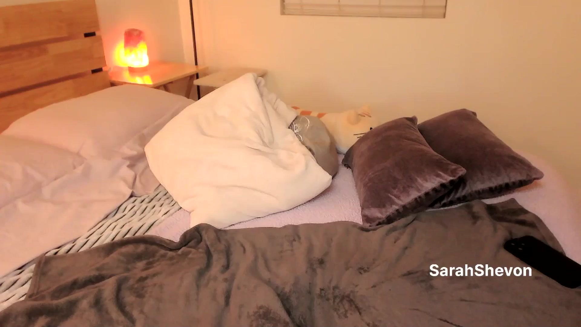 Gallery image thumbnail from SarahShevon's myfreecams stream on, 09/30/2024, 03:49 image 8 of 20