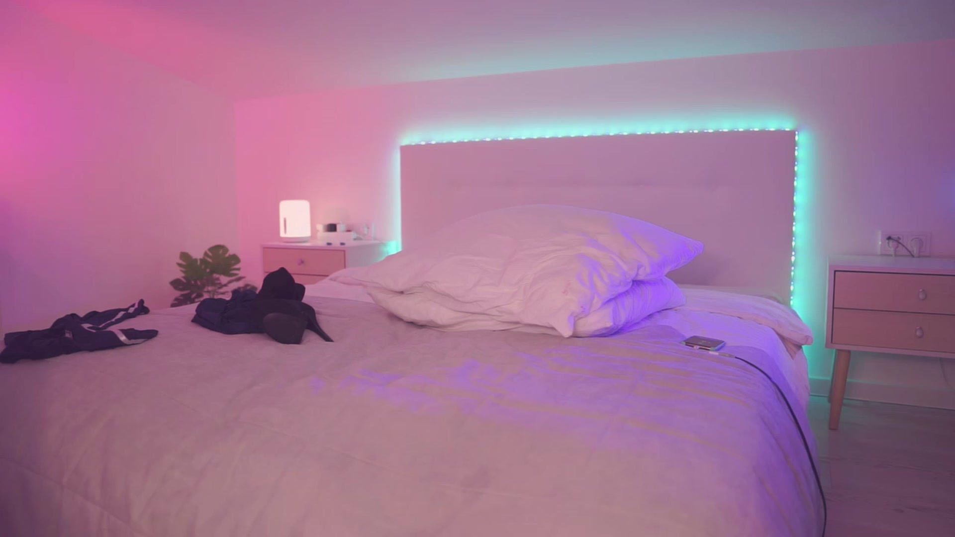 Gallery image thumbnail from Sarah_Pink's myfreecams stream on, 08/27/2023, 19:38 image 11 of 20