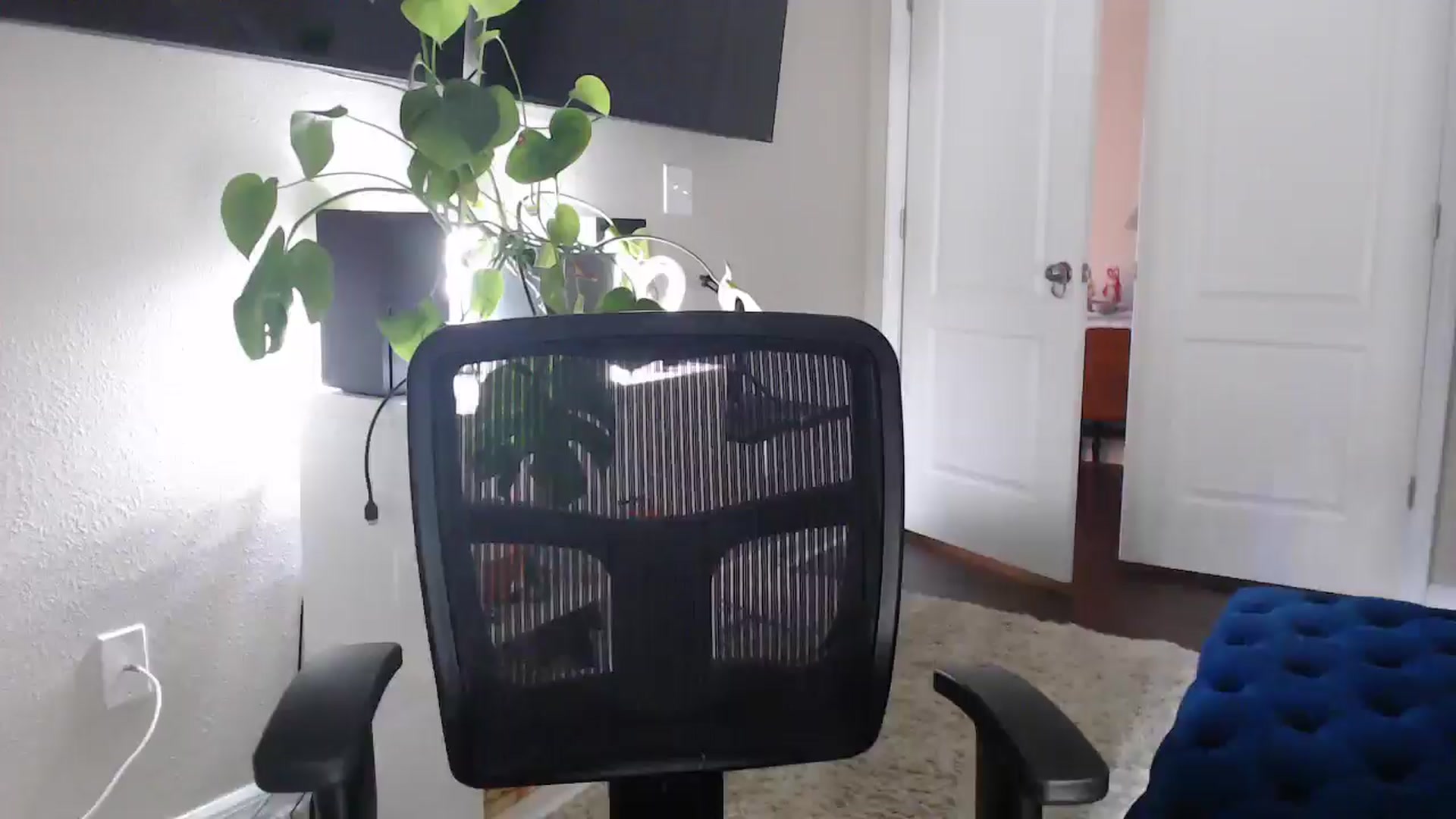 Gallery image thumbnail from Sarah_Stark's myfreecams stream on, 03/11/2026, 14:38 image 6 of 20