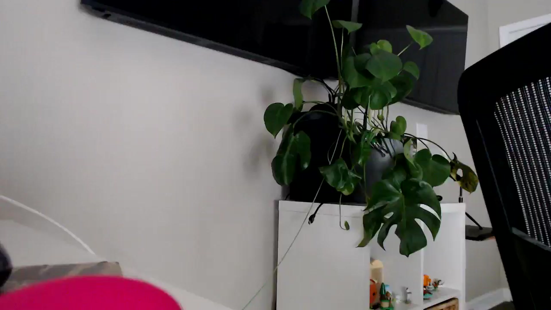 Gallery image thumbnail from Sarah_Stark's myfreecams stream on, 03/19/2026, 17:42 image 19 of 20