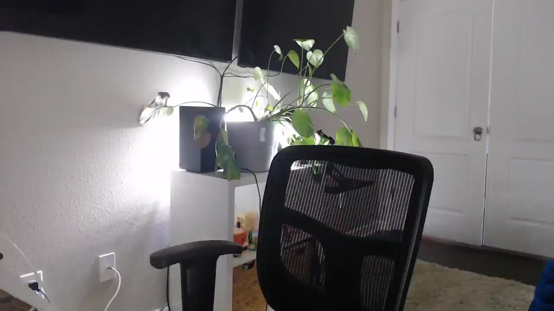 Gallery image thumbnail from Sarah_Stark's myfreecams stream on, 03/23/2026, 14:31 image 6 of 20