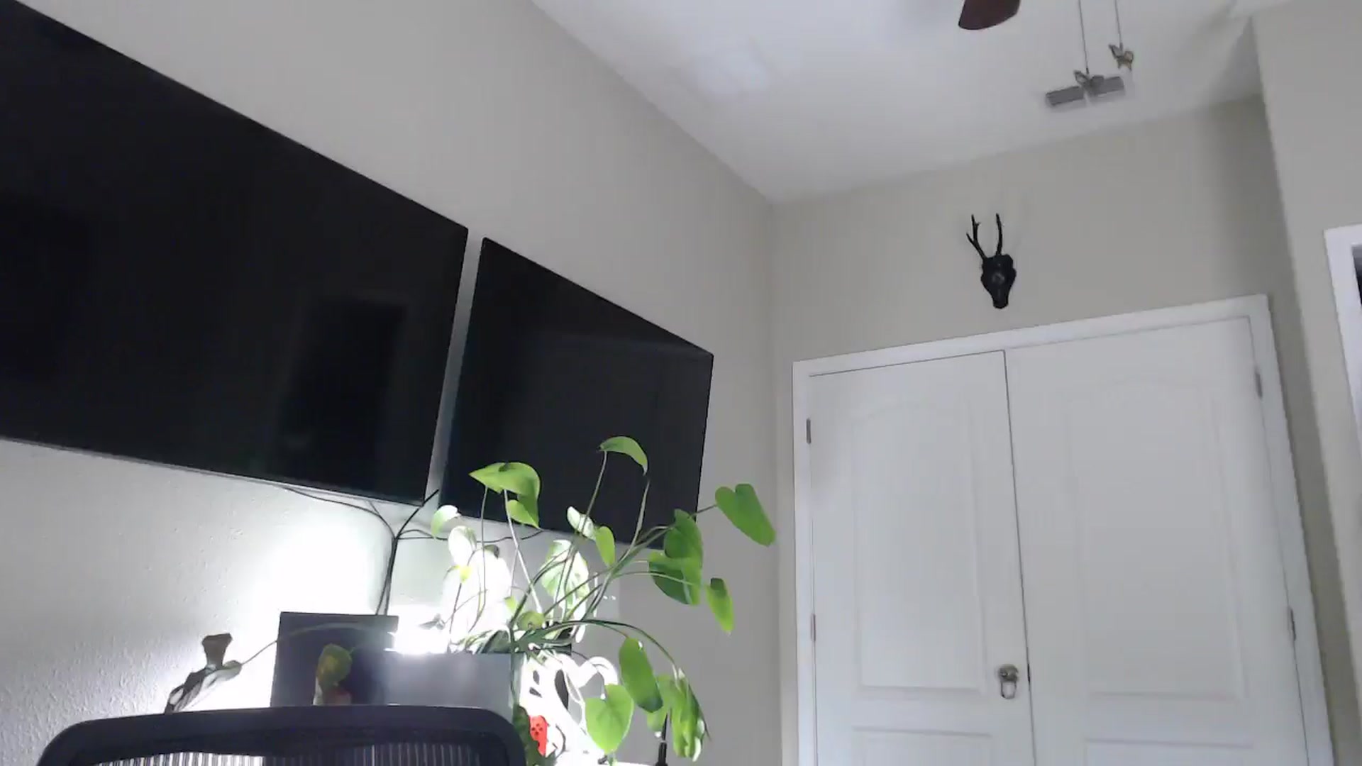 Gallery image thumbnail from Sarah_Stark's myfreecams stream on, 04/02/2026, 12:23 image 14 of 20