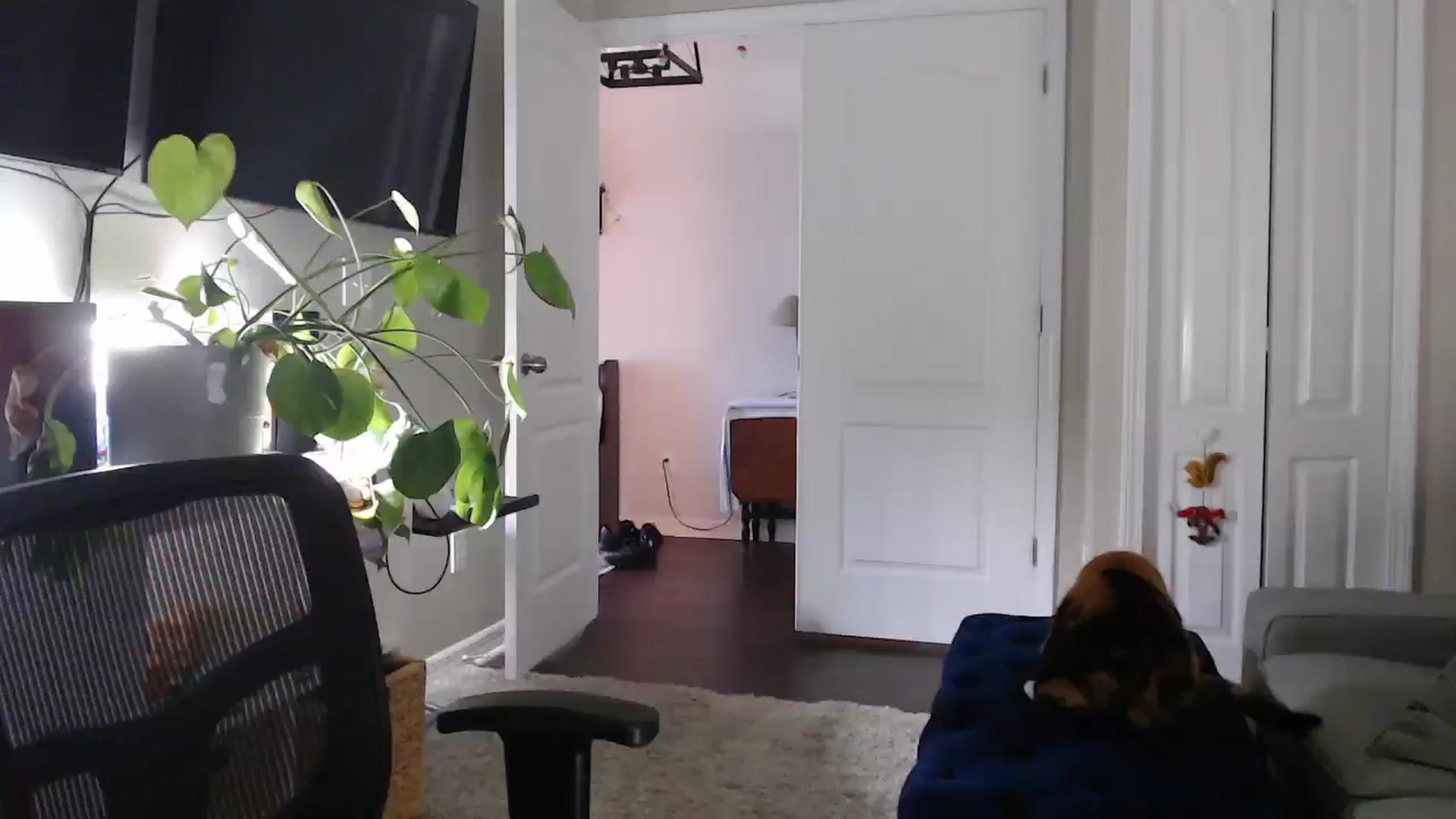 Gallery image thumbnail from Sarah_Stark's myfreecams stream on, 05/05/2026, 14:10 image 1 of 20