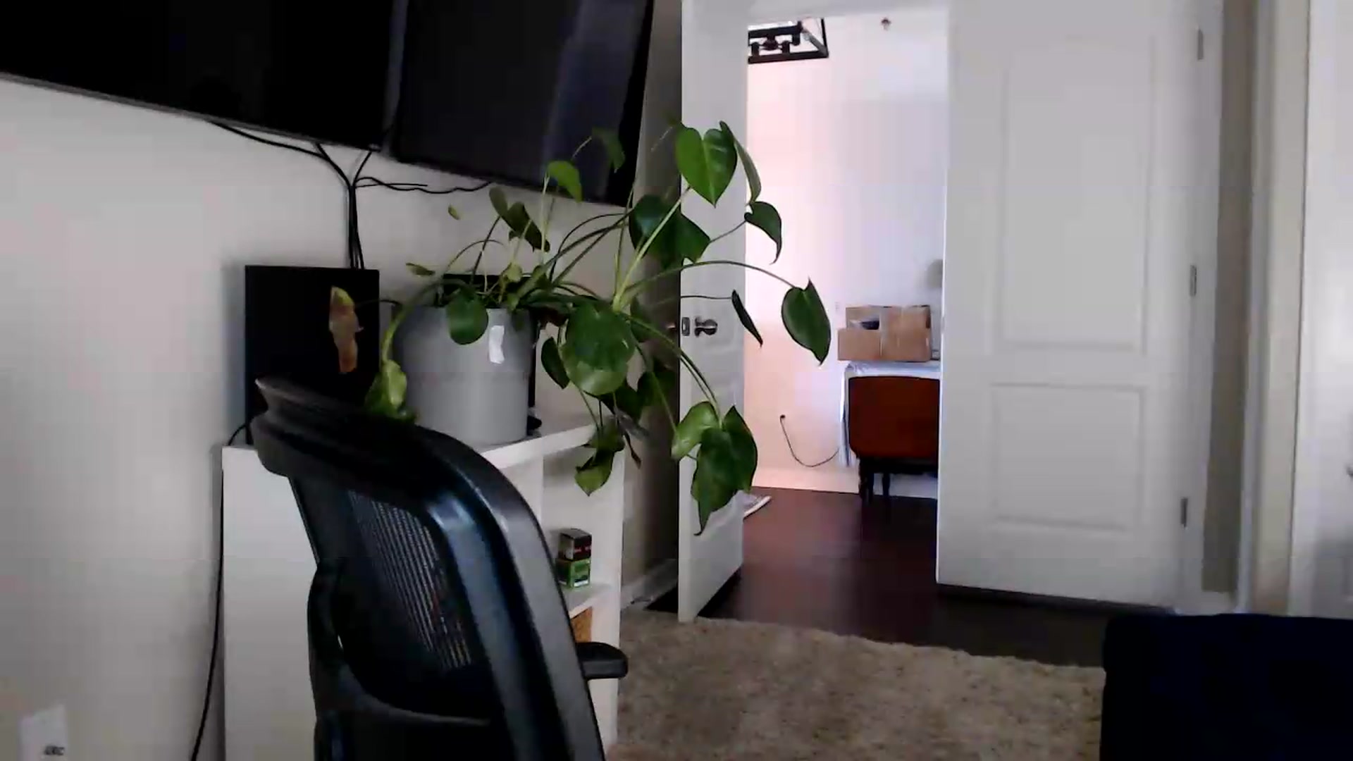 Gallery image thumbnail from Sarah_Stark's myfreecams stream on, 05/18/2026, 14:34 image 8 of 20