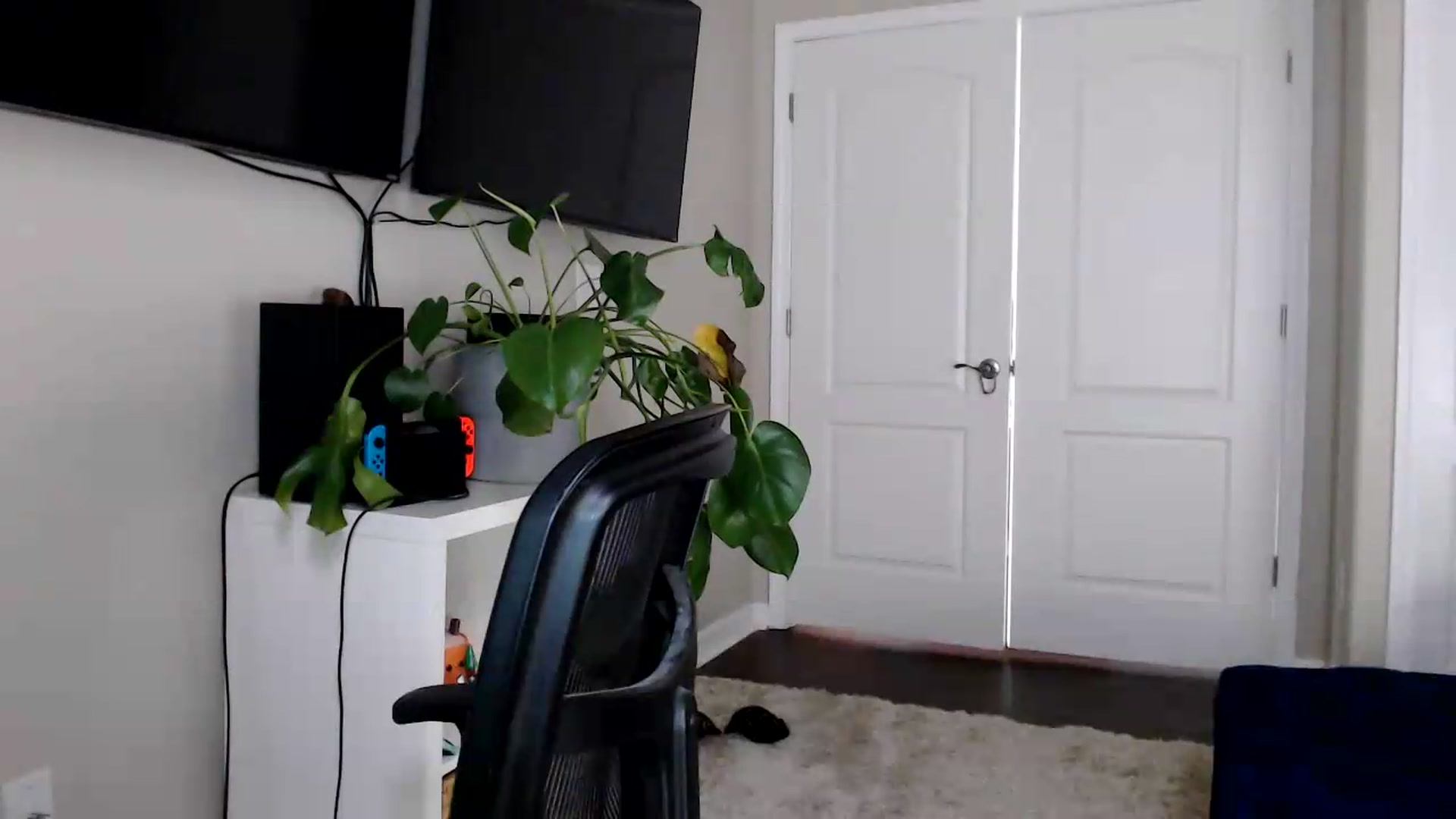 Gallery image thumbnail from Sarah_Stark's myfreecams stream on, 06/23/2026, 16:19 image 19 of 20
