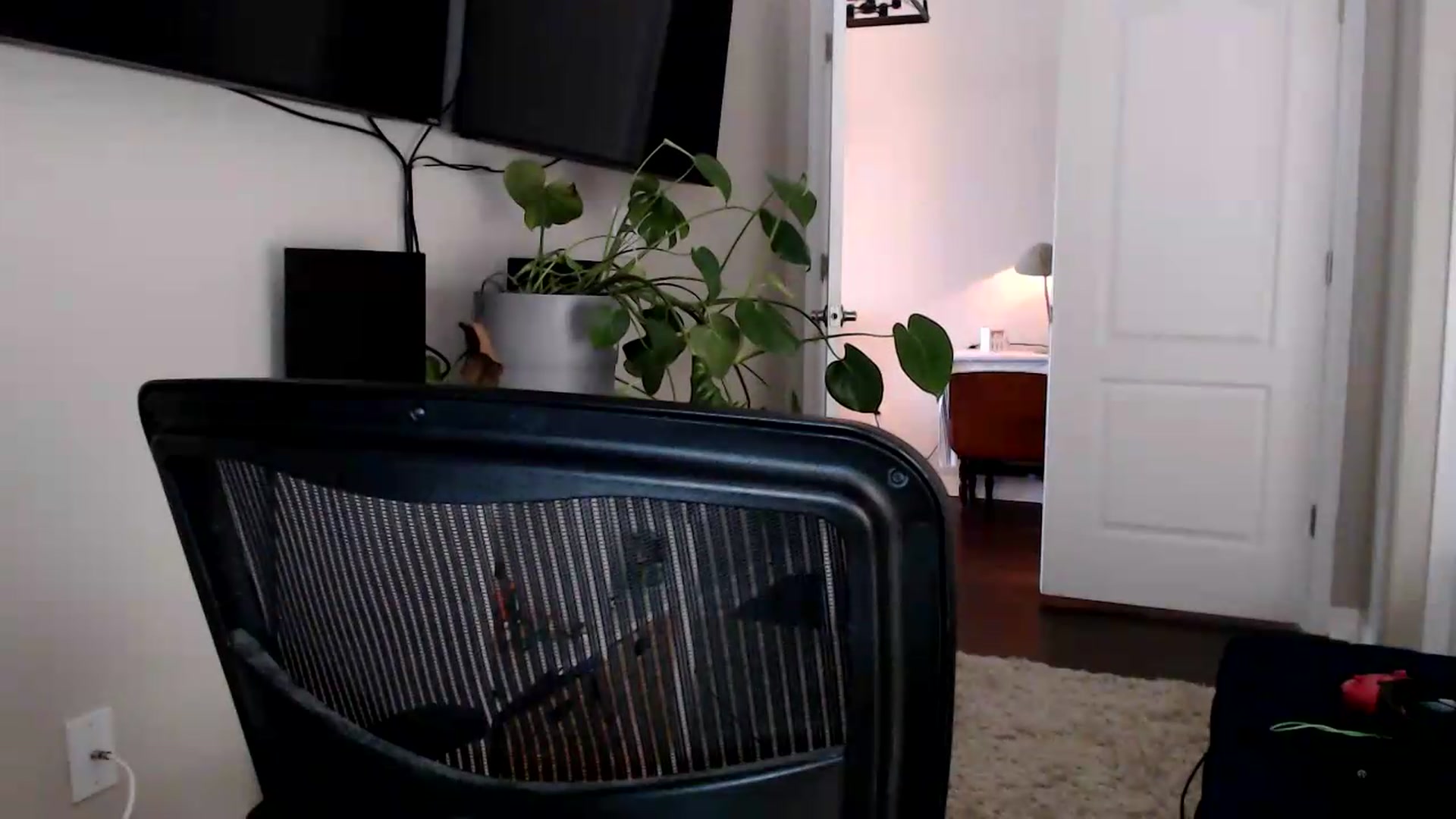 Gallery image thumbnail from Sarah_Stark's myfreecams stream on, 07/01/2026, 14:48 image 4 of 20