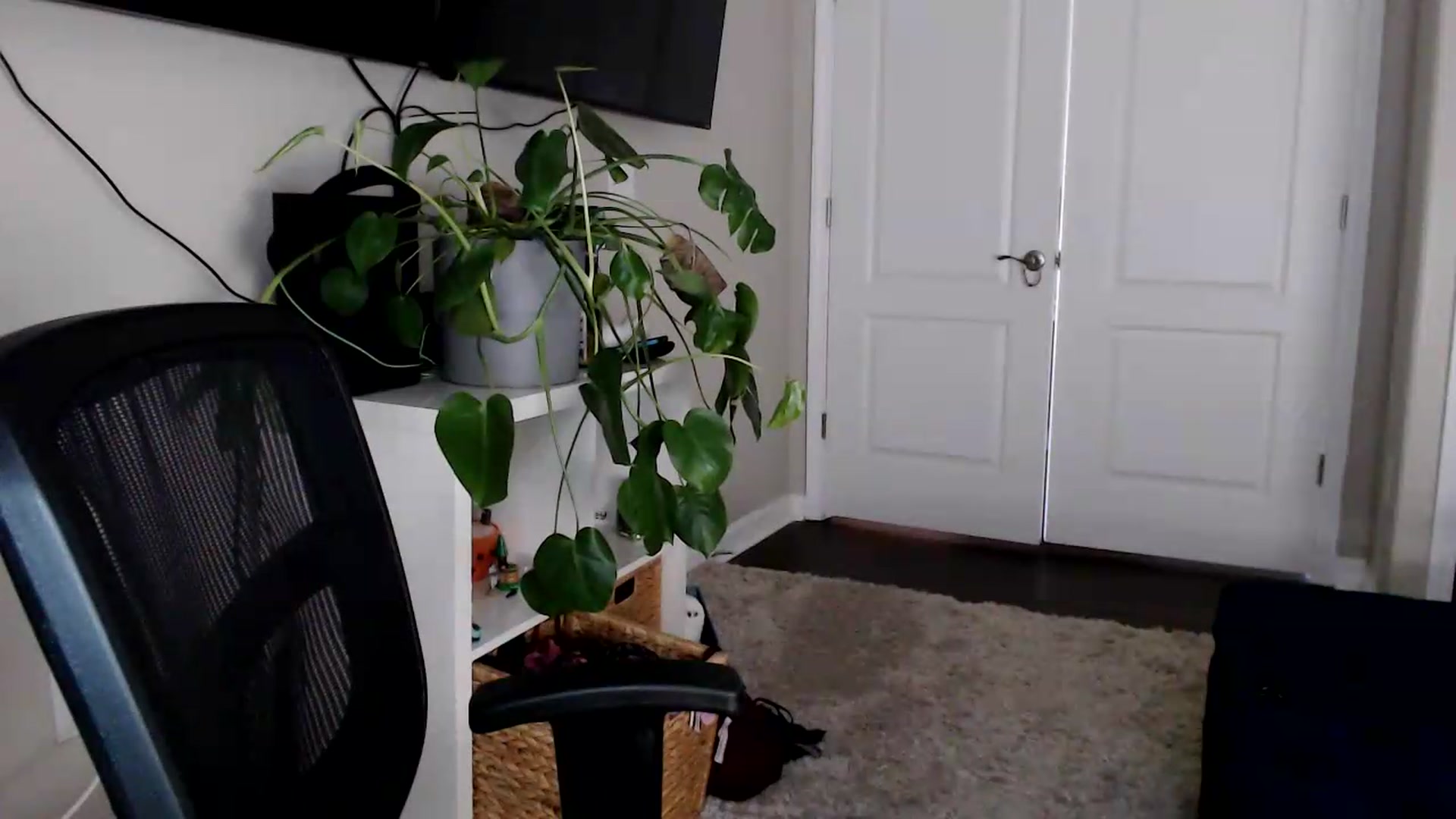 Gallery image thumbnail from Sarah_Stark's myfreecams stream on, 07/20/2026, 15:13 image 4 of 20