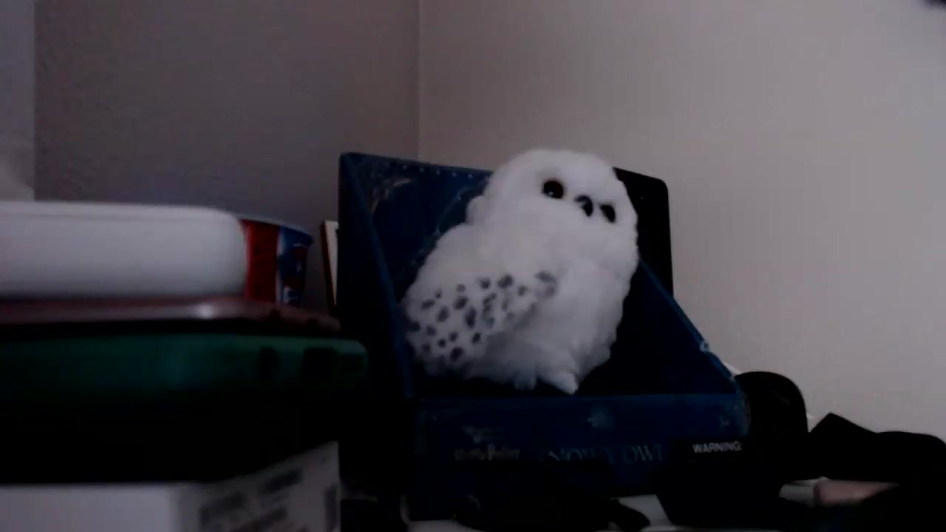 Gallery image thumbnail from Sarah_Stark's myfreecams stream on, 08/25/2026, 13:01 image 6 of 20