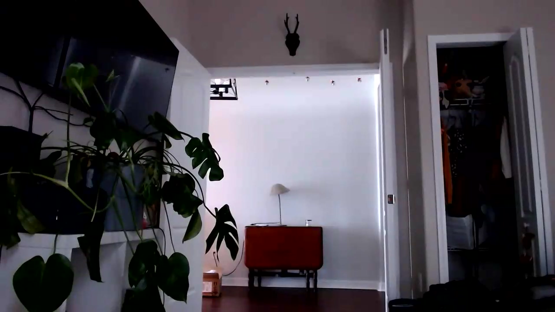Gallery image thumbnail from Sarah_Stark's myfreecams stream on, 08/25/2026, 17:22 image 10 of 20