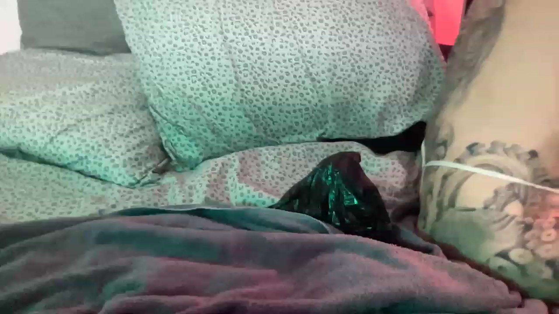 Gallery image thumbnail from Sarahmoonsg's myfreecams stream on, 12/27/2022, 05:38 image 10 of 20