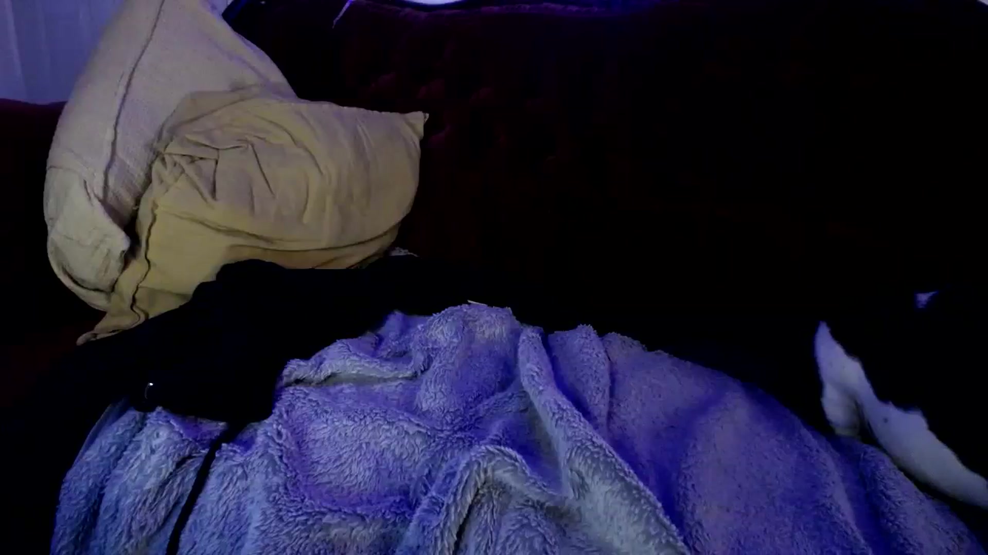 Gallery image thumbnail from Sarahmoonsg's myfreecams stream on, 08/07/2023, 04:26 image 9 of 20