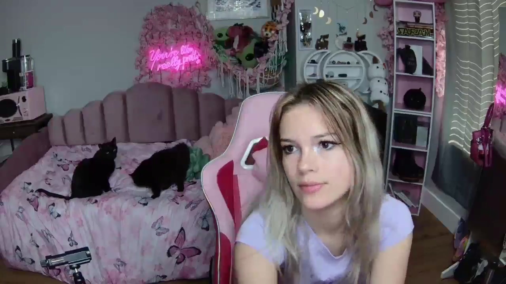 Gallery image thumbnail from Sarahsweets18's myfreecams stream on, 06/24/2024, 14:45 image 16 of 20