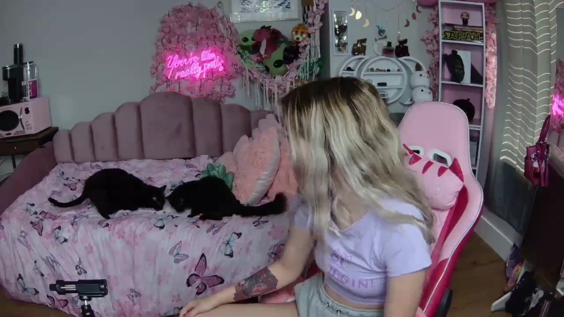 Gallery image thumbnail from Sarahsweets18's myfreecams stream on, 06/24/2024, 14:45 image 15 of 20