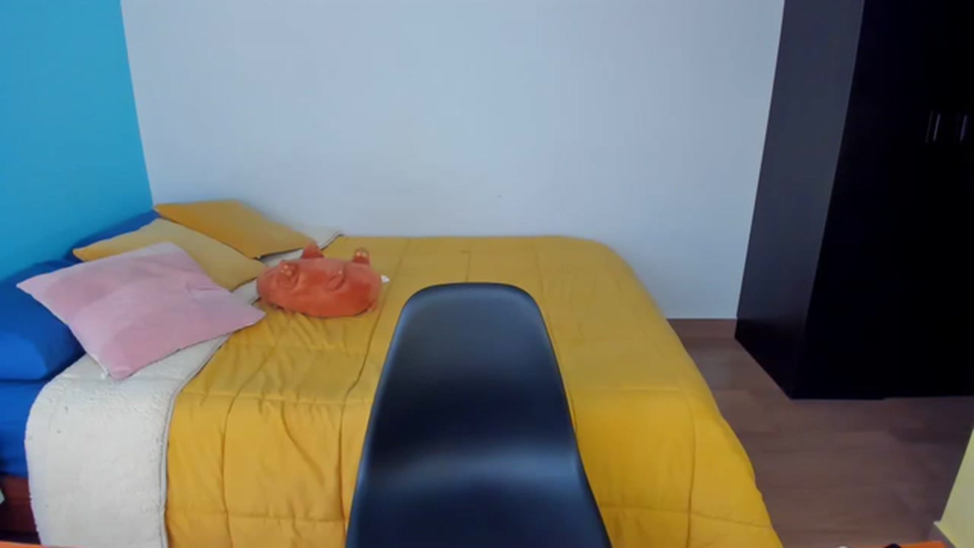 Gallery image thumbnail from SarishaLove's myfreecams stream on, 11/28/2022, 12:50 image 17 of 20