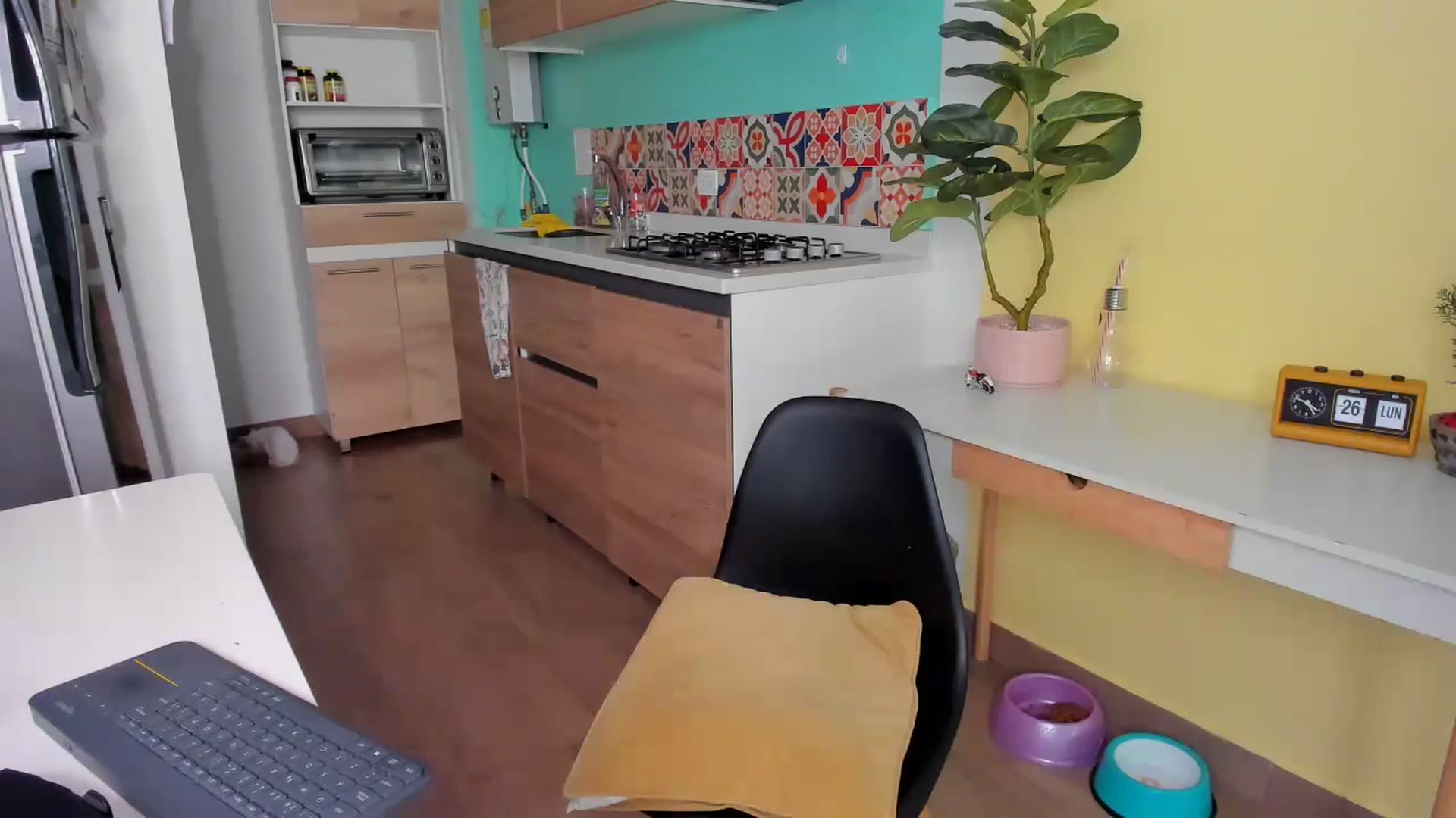 Gallery image thumbnail from SarishaLove's myfreecams stream on, 02/26/2024, 15:02 image 19 of 20