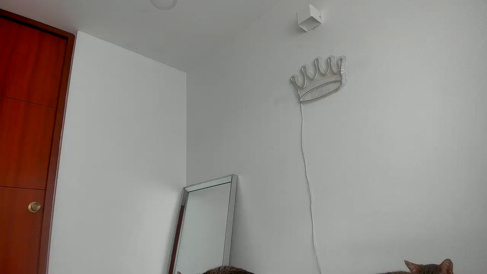 Gallery image thumbnail from Saritaa__'s myfreecams stream on, 07/12/2023, 17:41 image 3 of 20