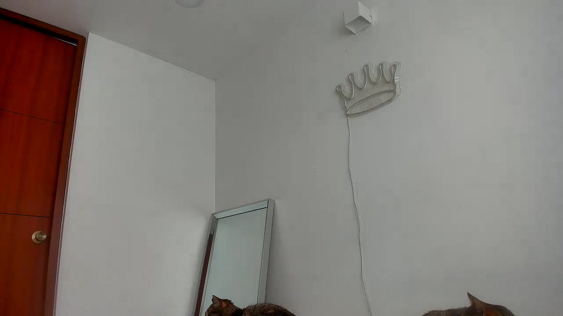 Gallery image thumbnail from Saritaa__'s myfreecams stream on, 07/12/2023, 17:41 image 2 of 20