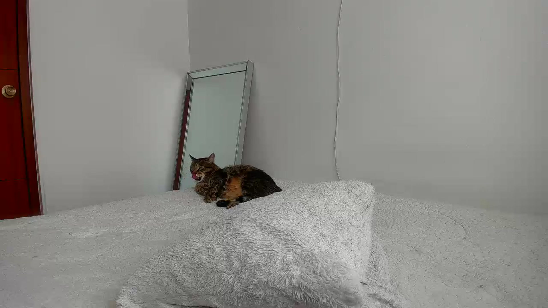 Gallery image thumbnail from Saritaa__'s myfreecams stream on, 07/12/2023, 17:41 image 12 of 20