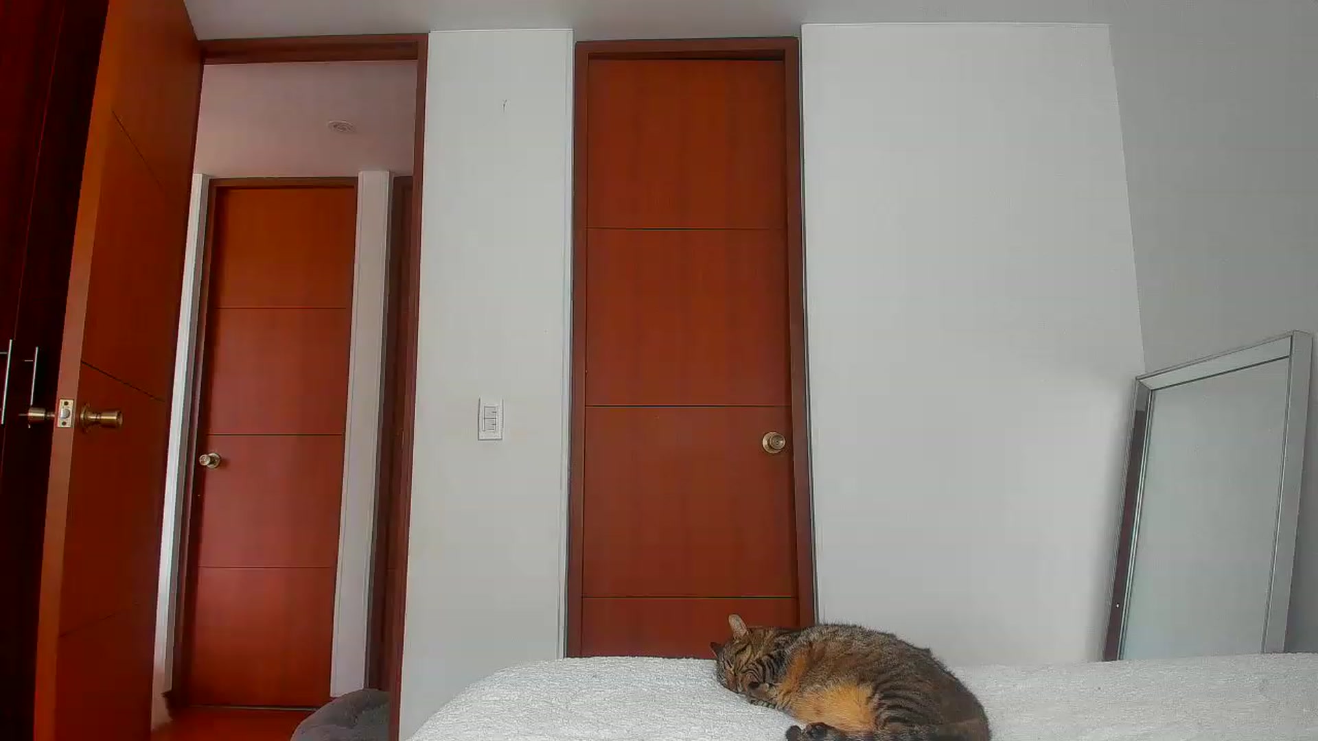 Gallery image thumbnail from Saritaa__'s myfreecams stream on, 07/14/2023, 15:54 image 13 of 20