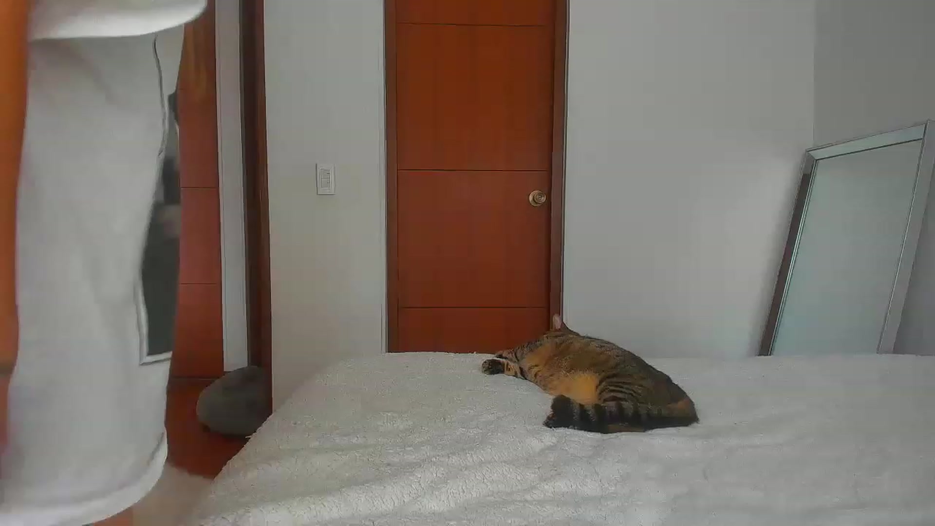 Gallery image thumbnail from Saritaa__'s myfreecams stream on, 07/14/2023, 15:54 image 16 of 20