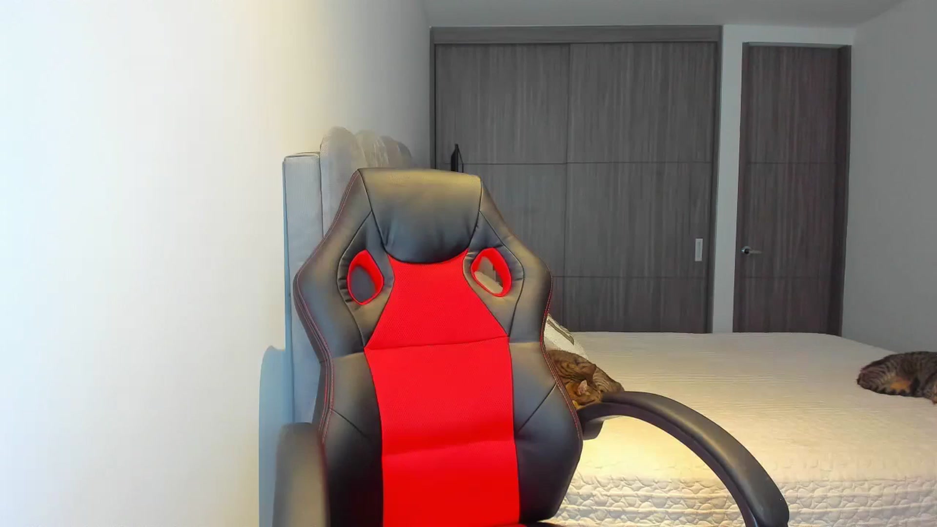Gallery image thumbnail from Saritaa__'s myfreecams stream on, 06/25/2024, 23:58 image 13 of 20
