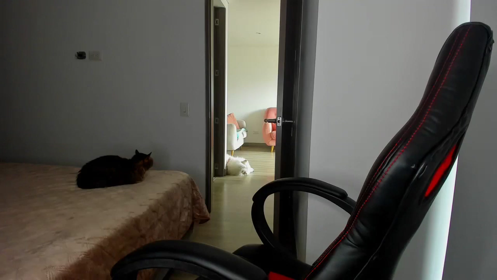 Gallery image thumbnail from Saritaa__'s myfreecams stream on, 07/26/2024, 17:14 image 17 of 20