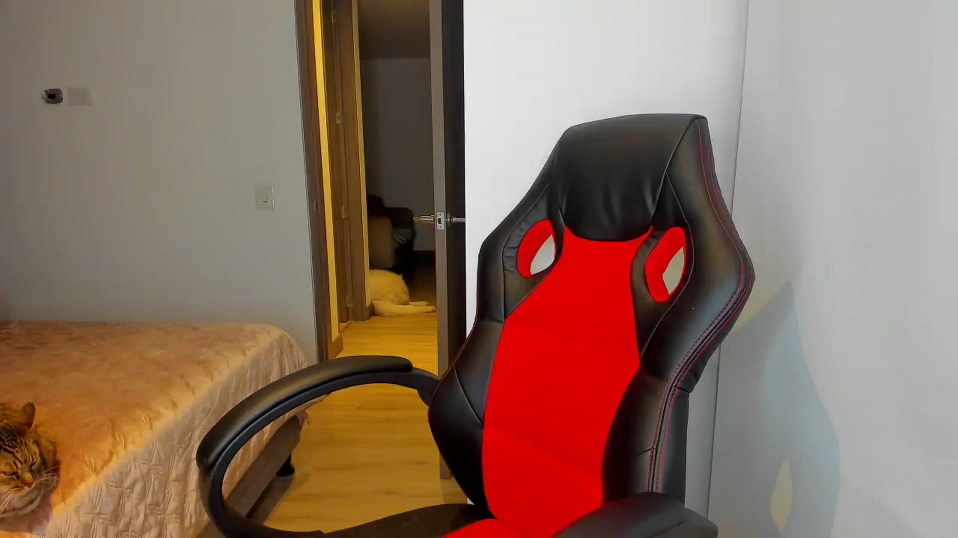 Gallery image thumbnail from Saritaa__'s myfreecams stream on, 08/05/2024, 03:11 image 6 of 20