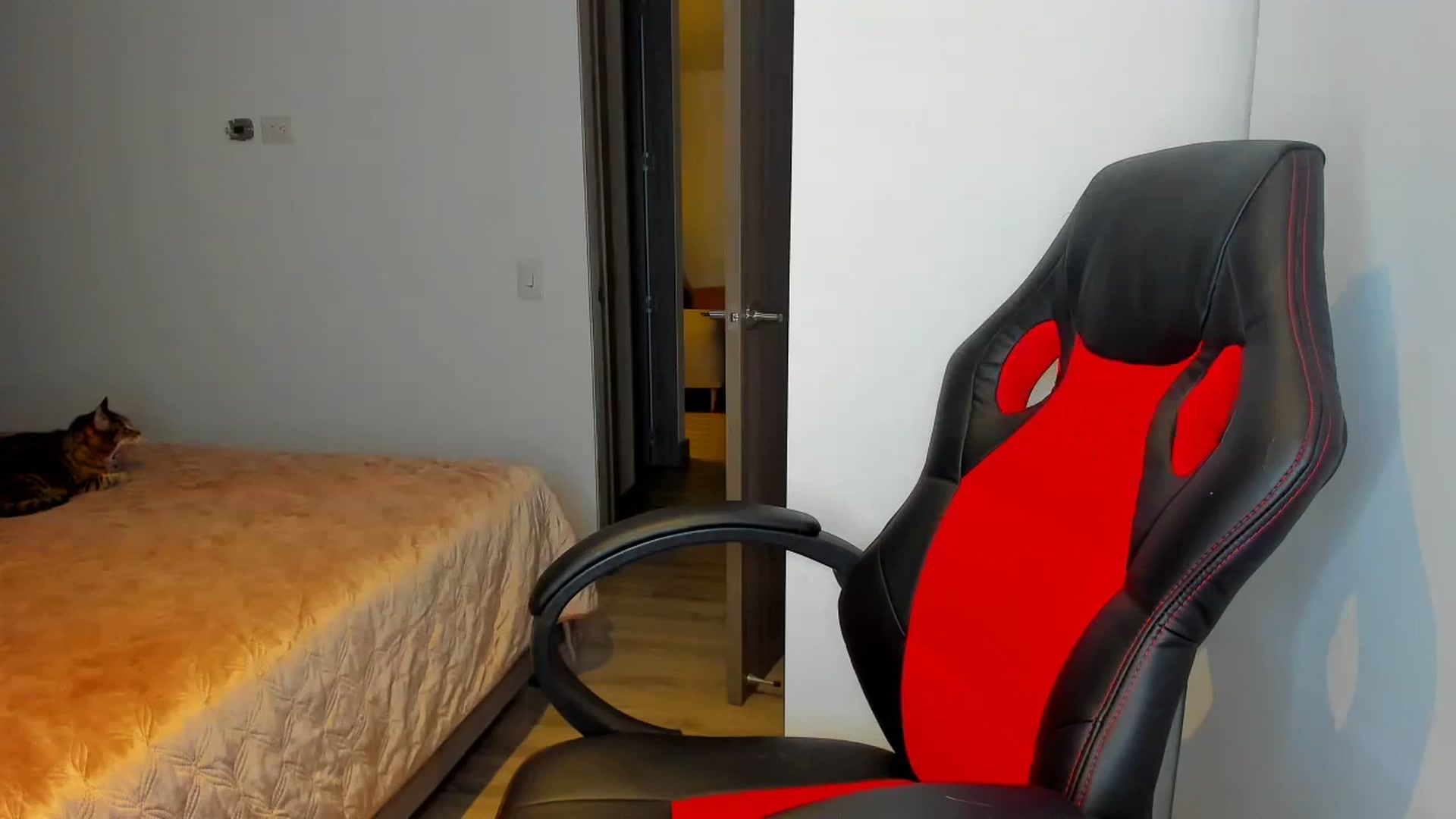 Gallery image thumbnail from Saritaa__'s myfreecams stream on, 08/09/2024, 01:27 image 13 of 20