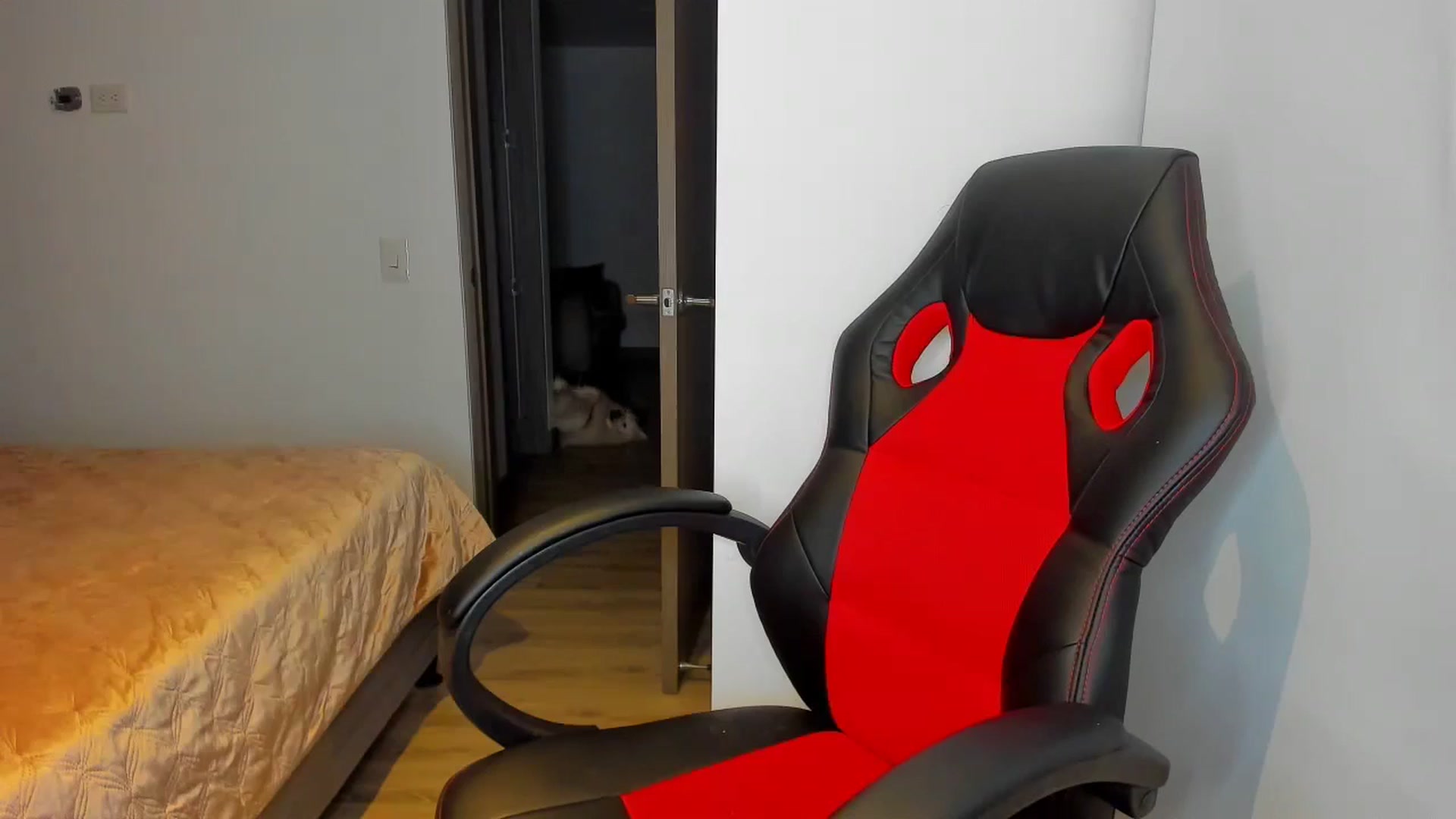 Gallery image thumbnail from Saritaa__'s myfreecams stream on, 08/10/2024, 24:01 image 7 of 20