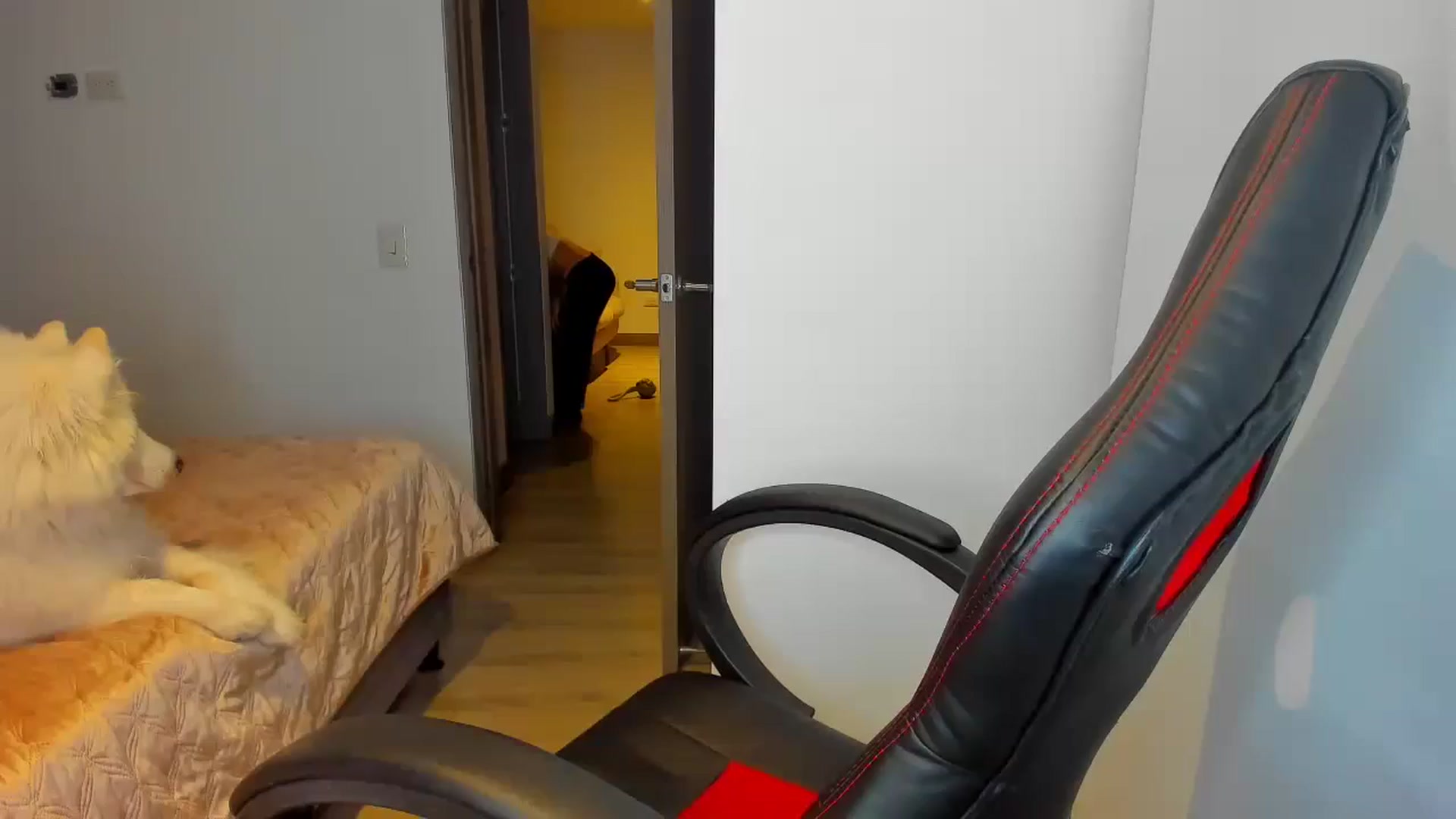 Gallery image thumbnail from Saritaa__'s myfreecams stream on, 08/10/2024, 01:10 image 17 of 20