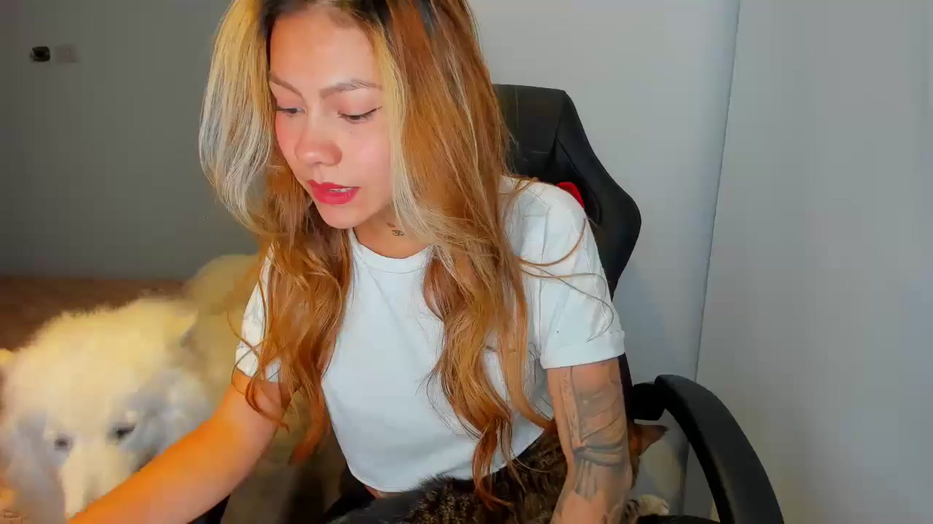 Gallery image thumbnail from Saritaa__'s myfreecams stream on, 08/10/2024, 01:10 image 16 of 20