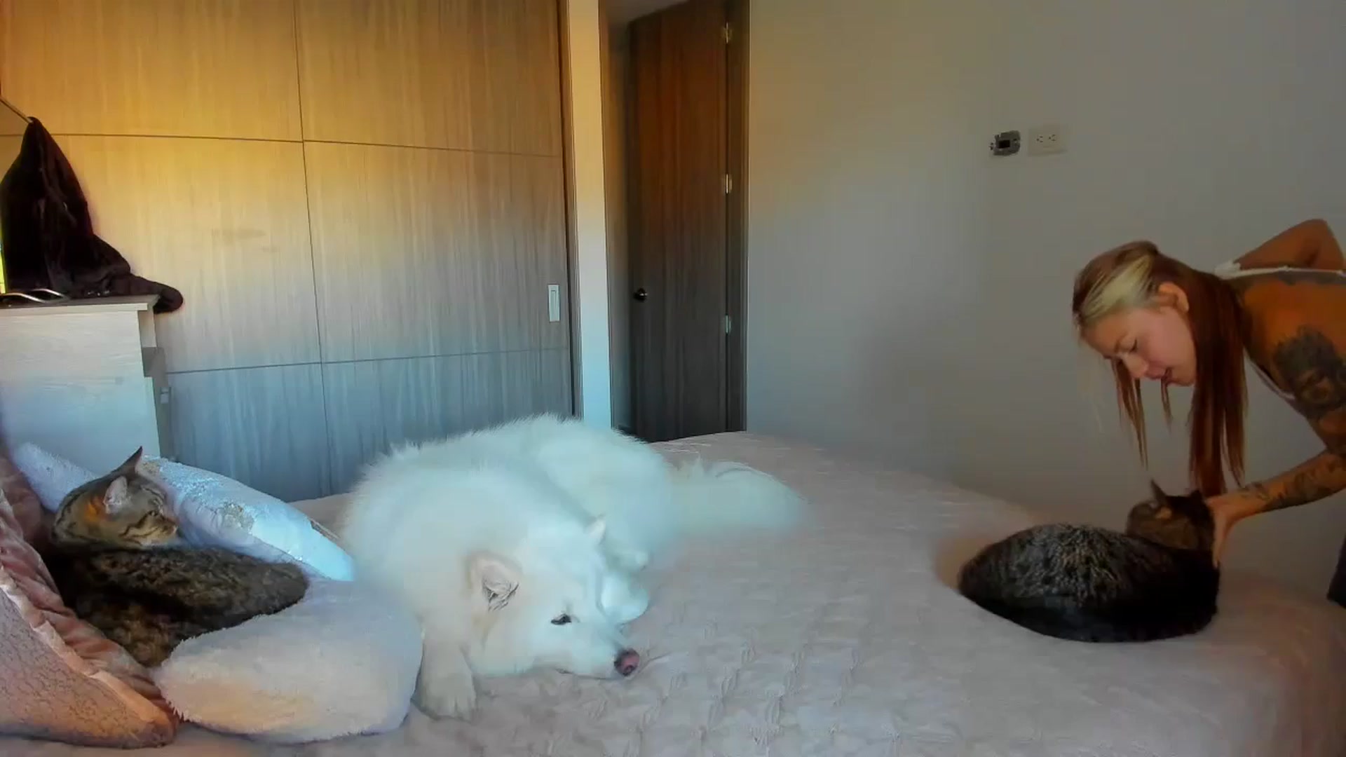 Gallery image thumbnail from Saritaa__'s myfreecams stream on, 08/30/2024, 23:00 image 2 of 20