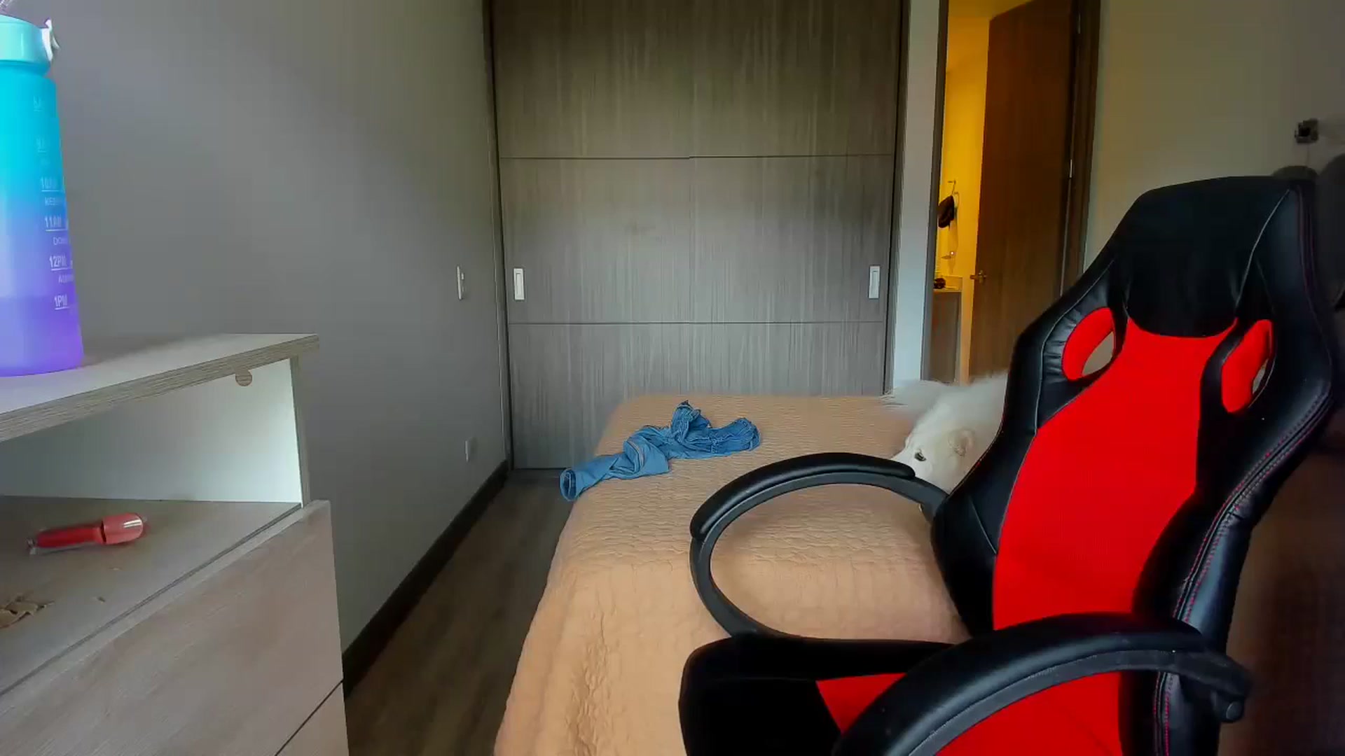 Gallery image thumbnail from Saritaa__'s myfreecams stream on, 09/14/2024, 19:21 image 20 of 20
