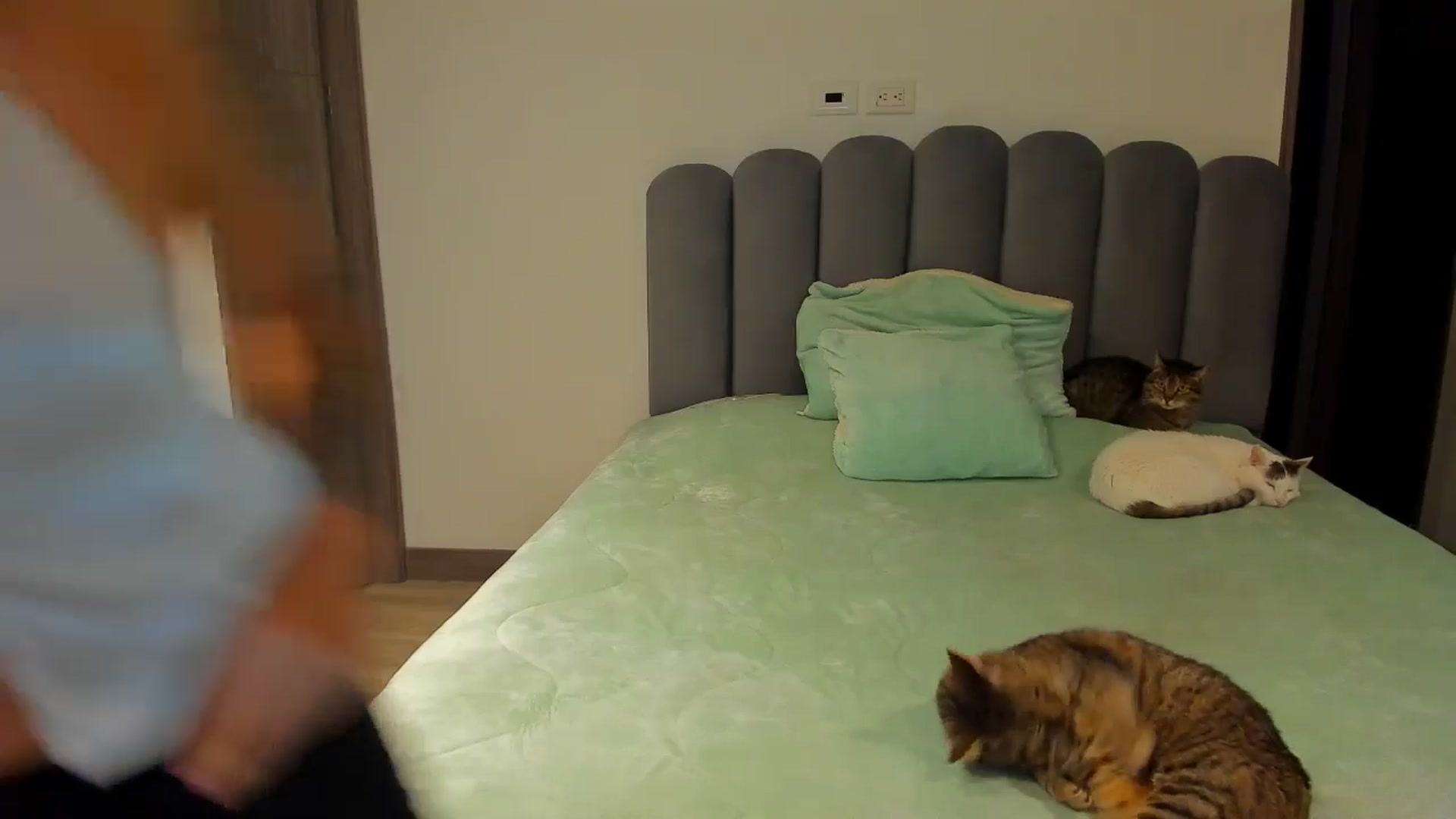 Gallery image thumbnail from Saritaa__'s myfreecams stream on, 10/08/2024, 23:13 image 12 of 20