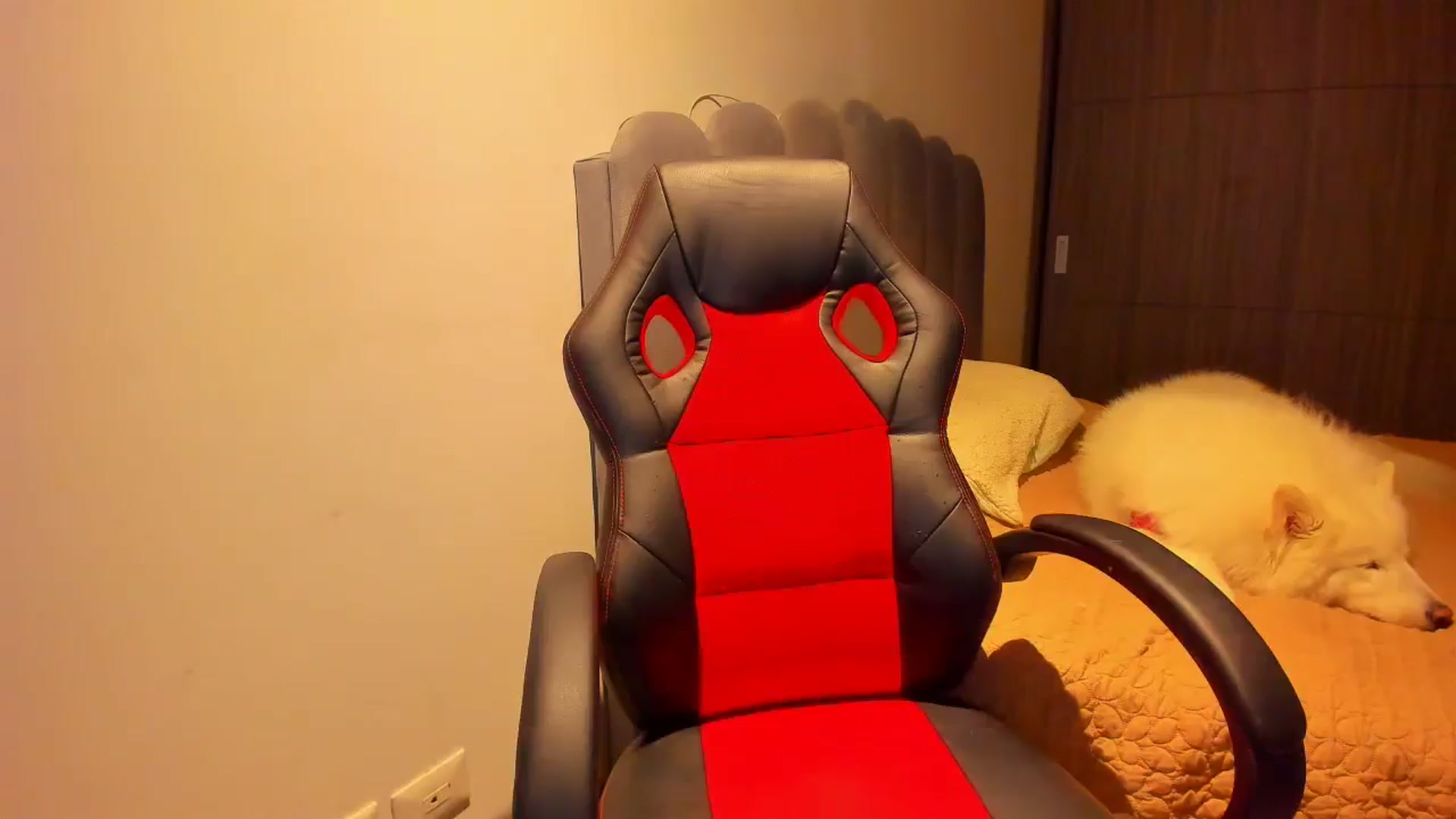 Gallery image thumbnail from Saritaa__'s myfreecams stream on, 04/29/2025, 23:51 image 9 of 20