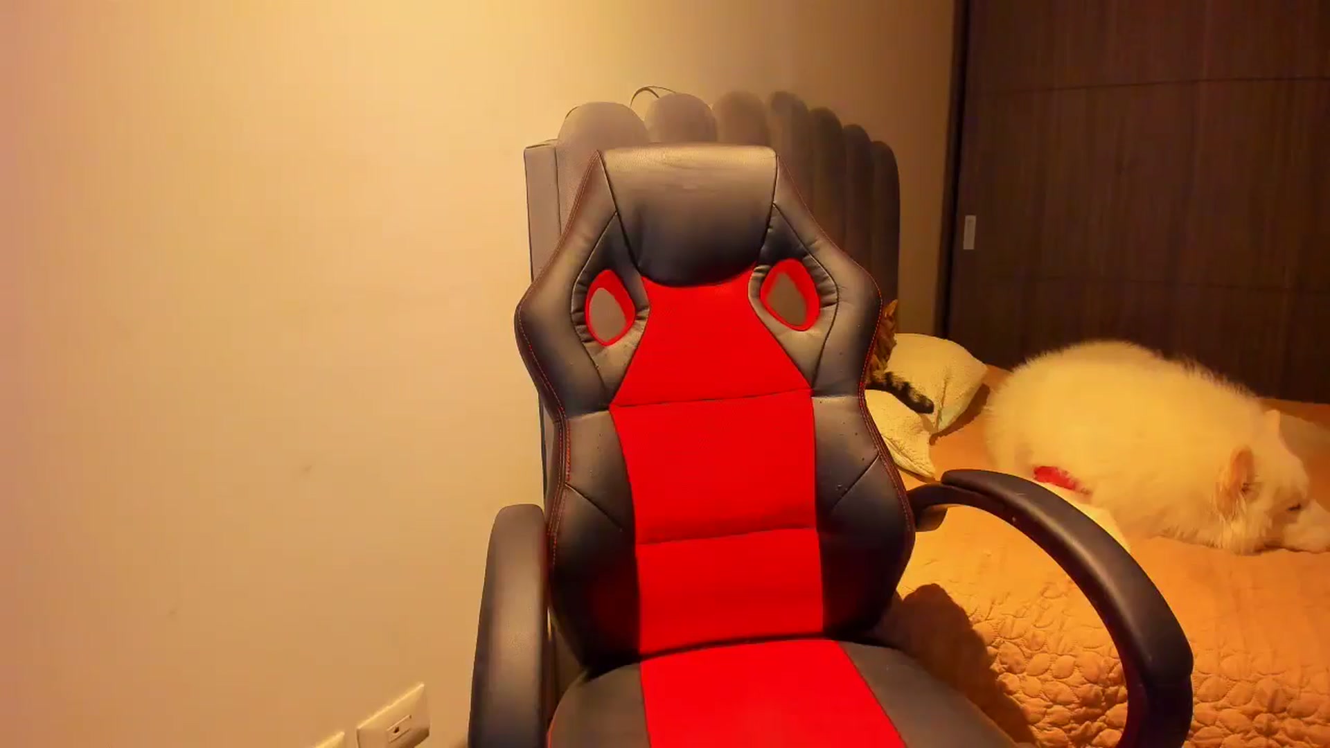 Gallery image thumbnail from Saritaa__'s myfreecams stream on, 04/29/2025, 23:51 image 10 of 20