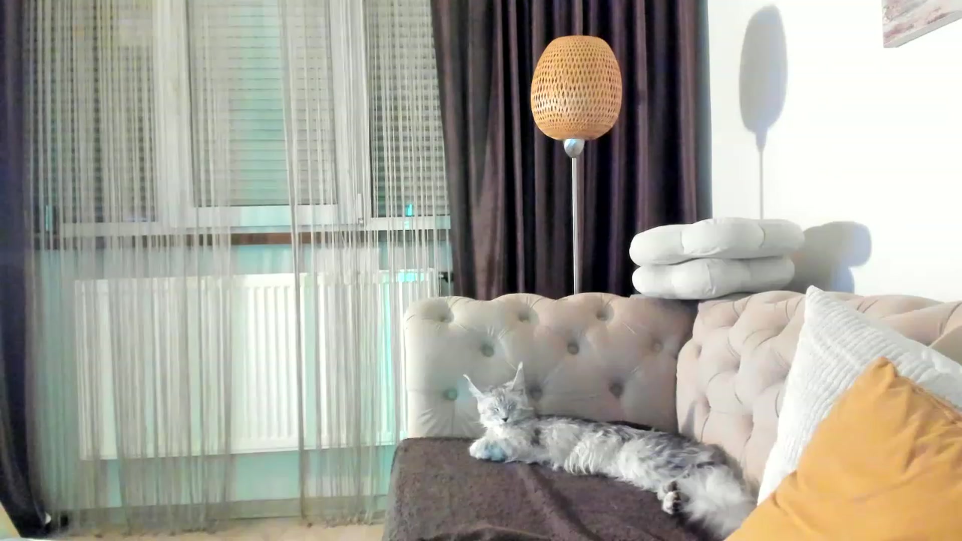 Gallery image thumbnail from SashaLopez's myfreecams stream on, 05/23/2023, 22:03 image 15 of 20
