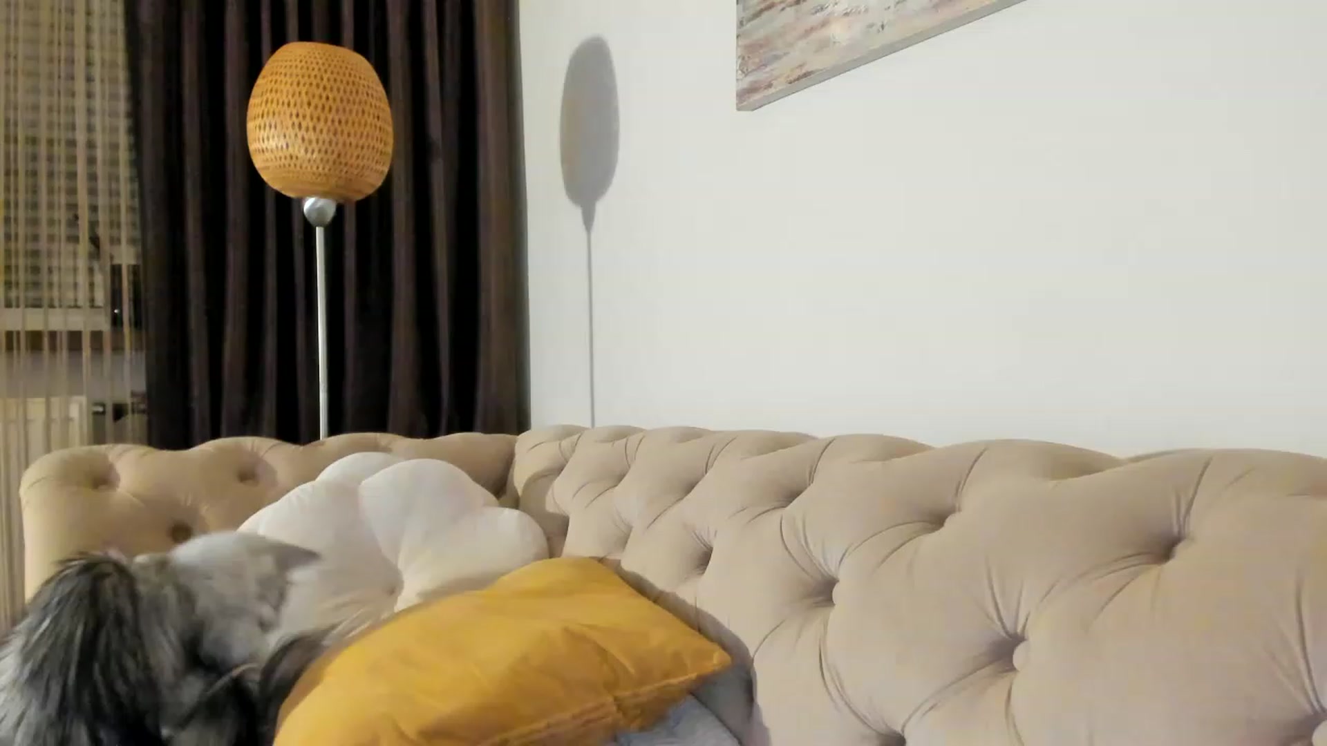 Gallery image thumbnail from SashaLopez's myfreecams stream on, 06/22/2023, 22:49 image 17 of 20