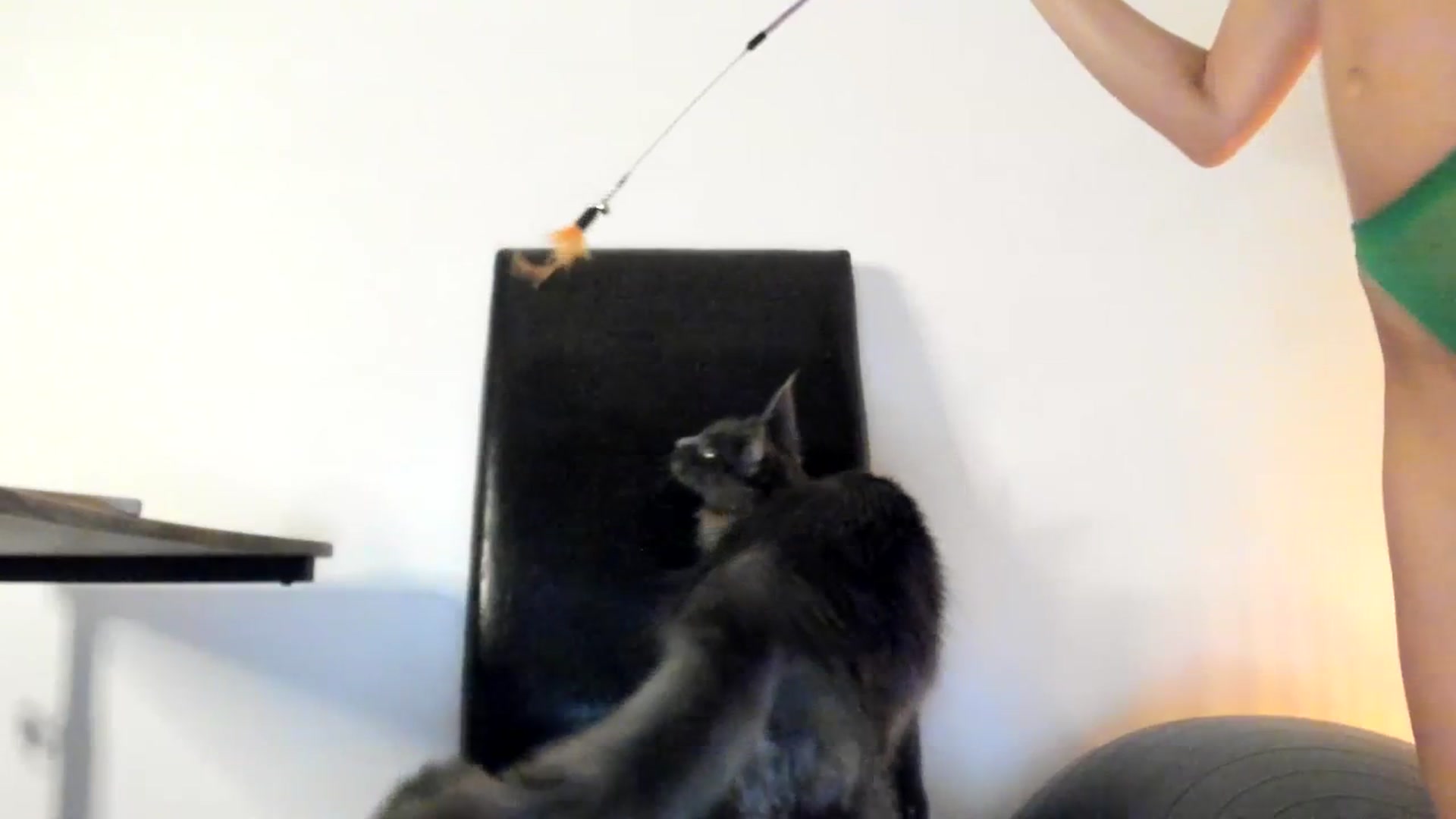Gallery image thumbnail from SashaLopez's myfreecams stream on, 07/03/2023, 21:35 image 16 of 20
